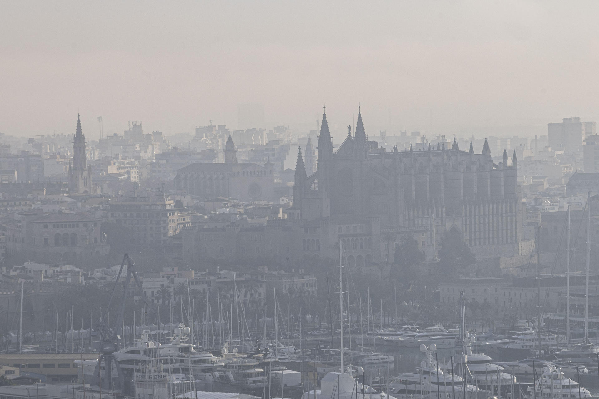 La ciudad de Mallorca amanece este lunes, con buena parte de la geografía, cubierta por densos bancos de niebla. EFE/CATI CLADERA