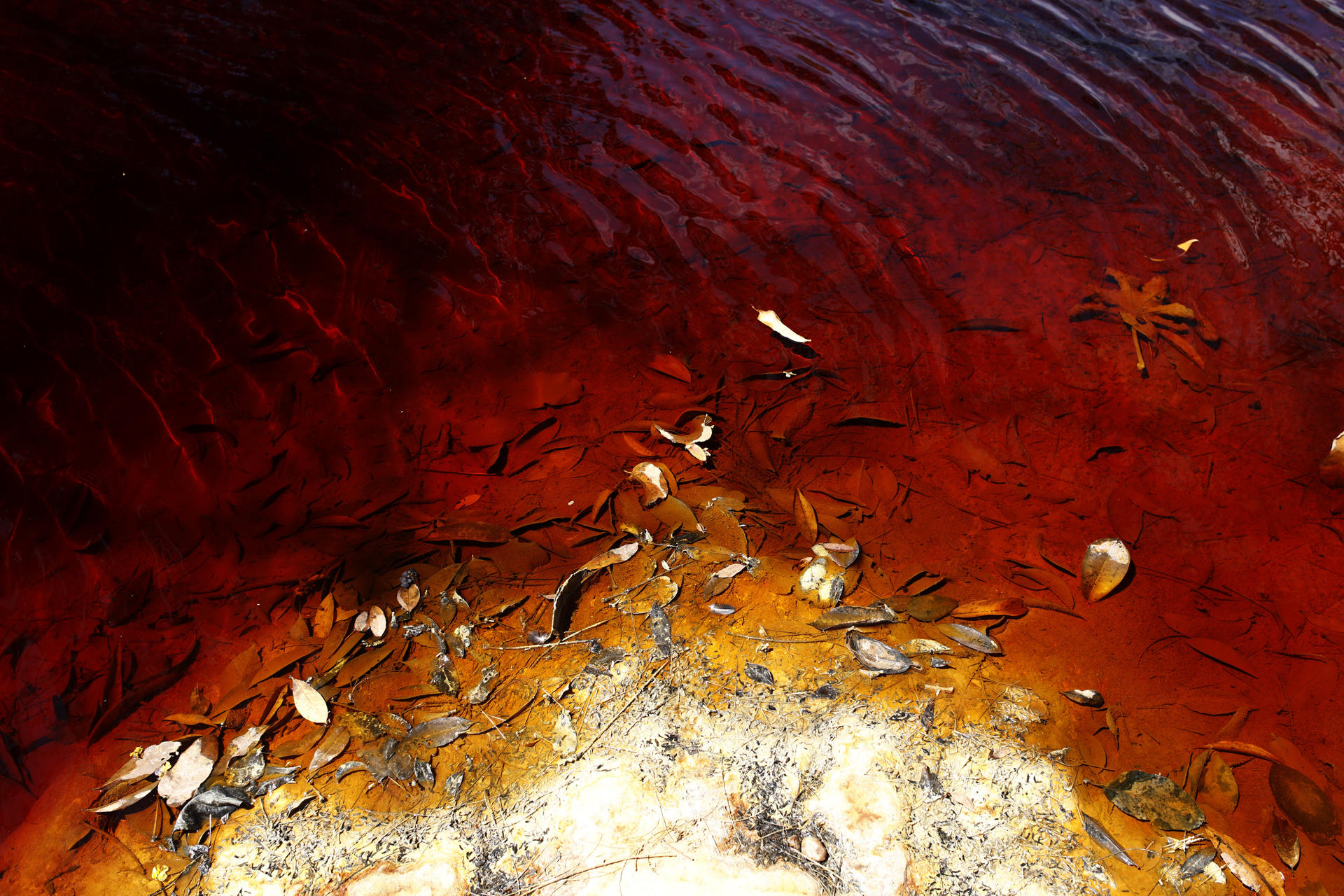 Fotografía del 28 de febrero de 2025 del río San Sebastián contaminado a causa de la explotación minera, en Santa Rosa de Lima (El Salvador). EFE/ Rodrigo Sura