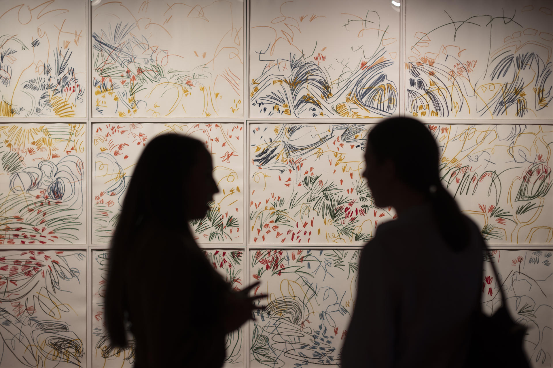 La obra 'Conjunto de 12 grabados al aguafuerte y aguatinta', de Janaina Tschäpe, en la exposición 'Creadoras'. EFE/Marta Pérez