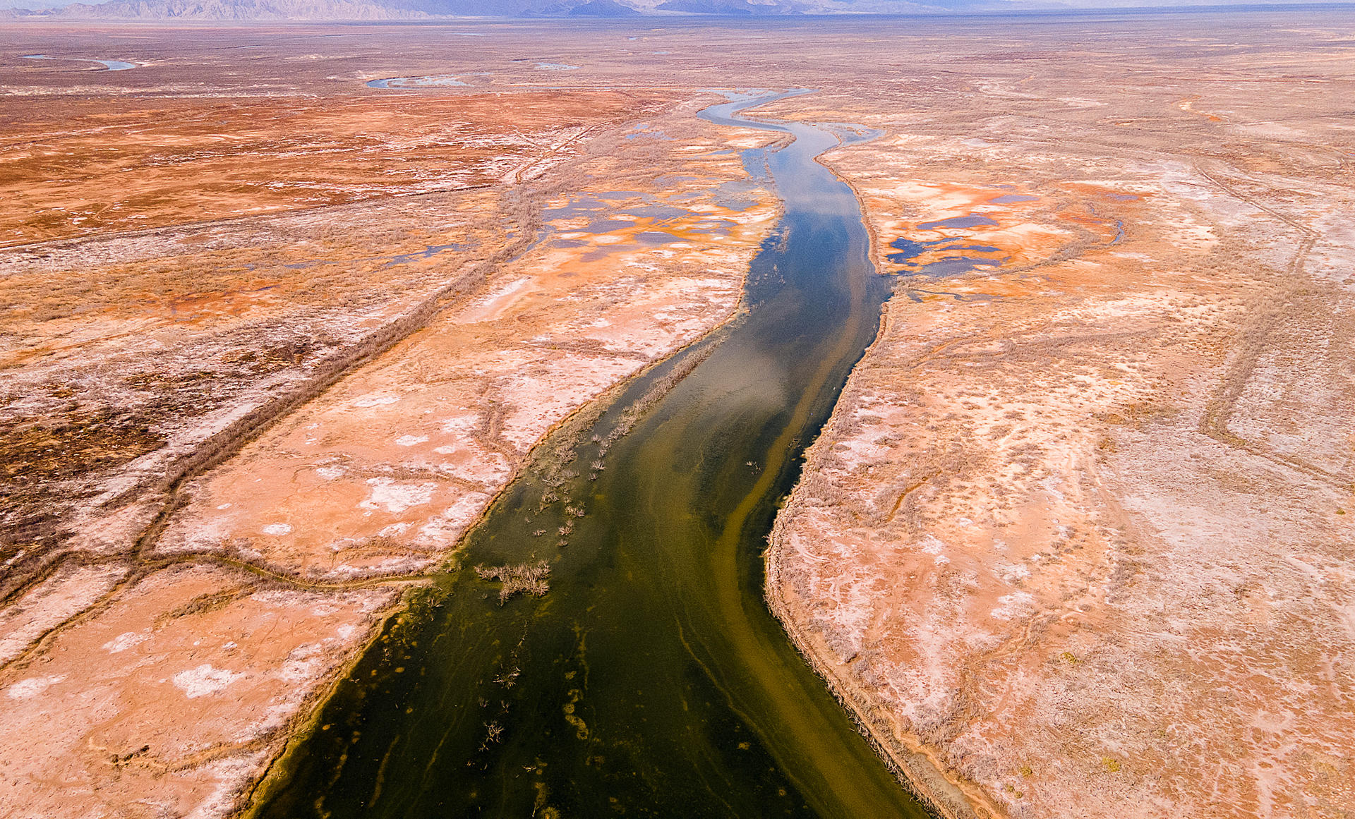 Fotografía cedida este miércoles por Rise The River, donde se observa el Río Colorado en San Luis Río Colorado, en Sonora (México). EFE/ Rise The River /SOLO USO EDITORIAL/NO VENTAS/SOLO DISPONIBLE PARA ILUSTAR LA NOTICIA QUE ACOMPAÑA (CRÉDITO OBLIGATORIO)