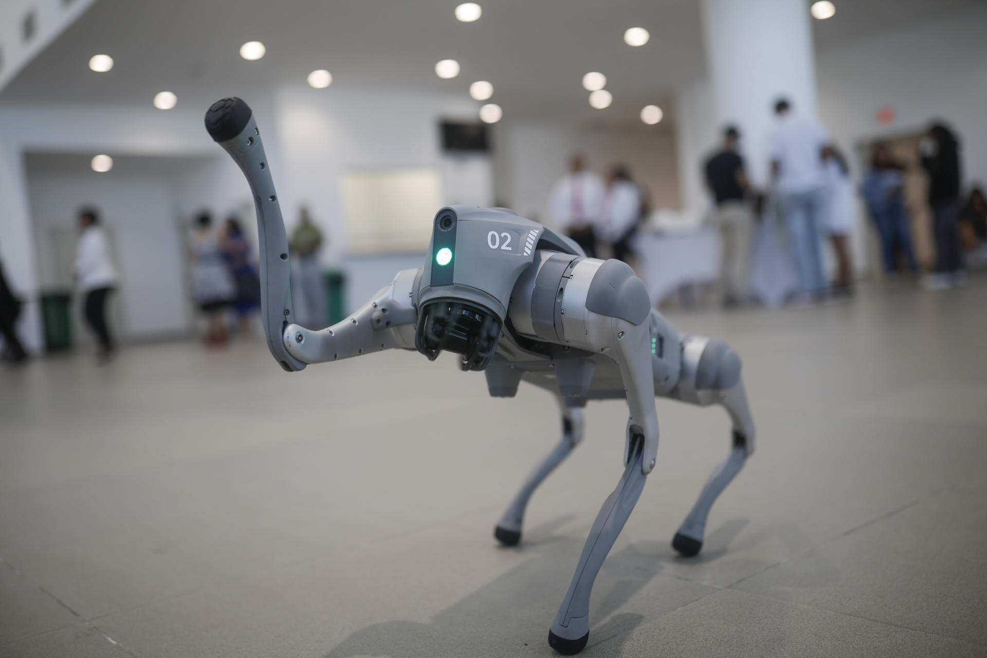Un robot perro realiza maniobras durante la inauguración de la "segunda fase" del Instituto Técnico Superior Especializado (ITSE) en Ciudad de Panamá (Panamá). EFE/Bienvenido Velasco