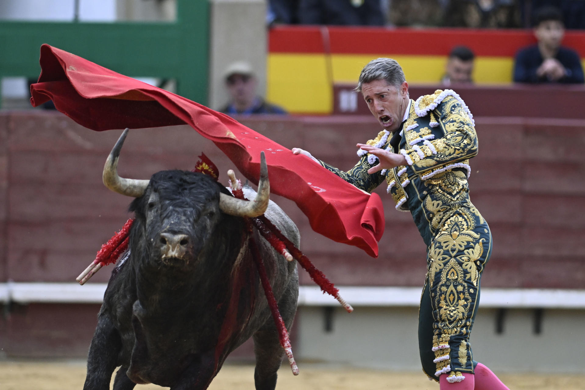 El diestro Manuel Escribano lidia su primer toro este domingo, en la corrida de toros de la Feria de la Magdalena 2025, en Castellón (Comunidad Valenciana). EFE/Andreu Esteban