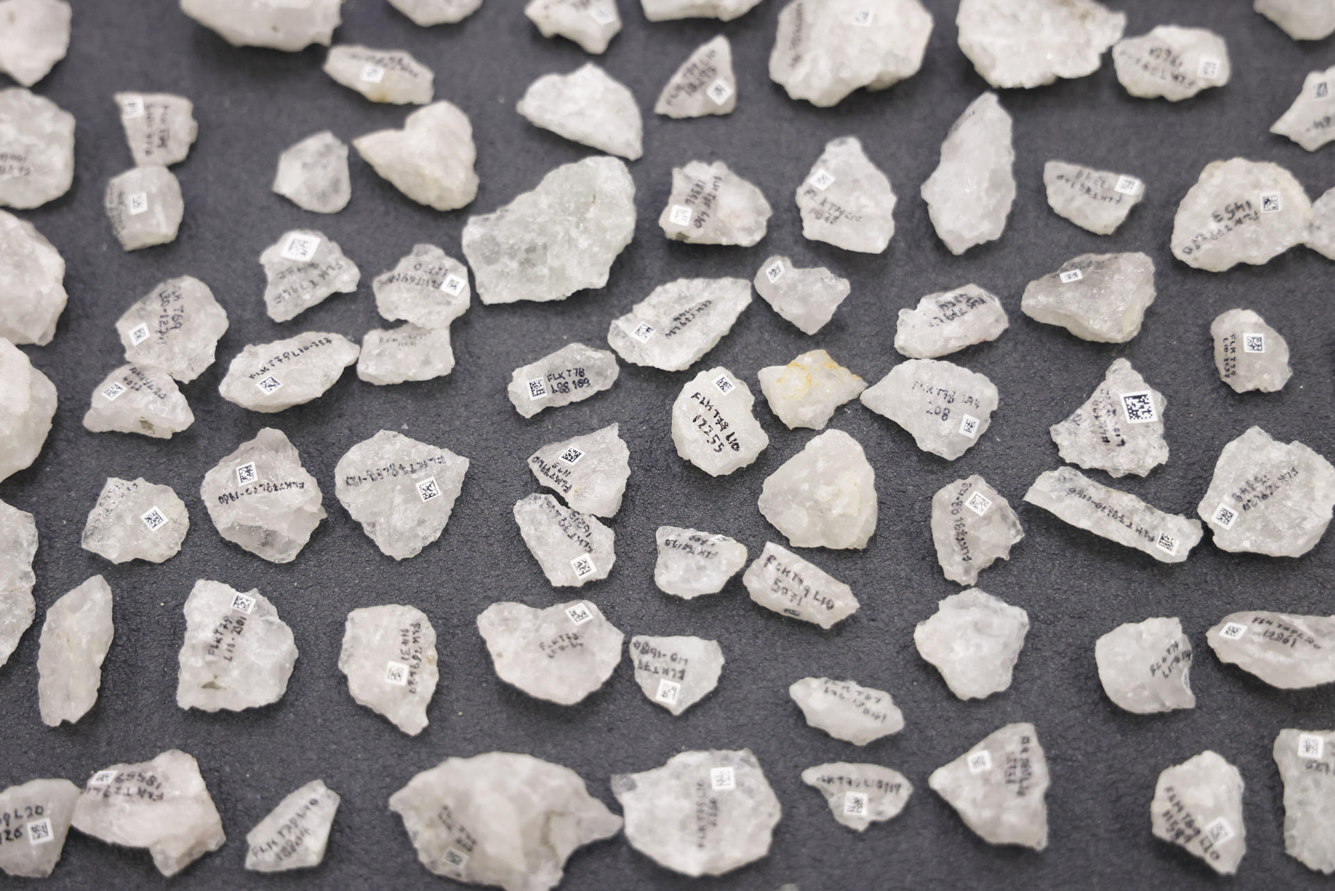 El investigador del Instituto de Historia del CSIC Ignacio de la Torre presenta el hallazgo, realizado en un yacimiento de la Garganta de Olduvai (Tanzania, África oriental), que demuestra que Homo erectus tallaba hachas de hueso de manera sistemática un millón de años antes que las evidencias más antiguas halladas hasta ahora en yacimientos europeos (sur de Italia), de hace unos 500.000 años. EFE/Blanca Míllez