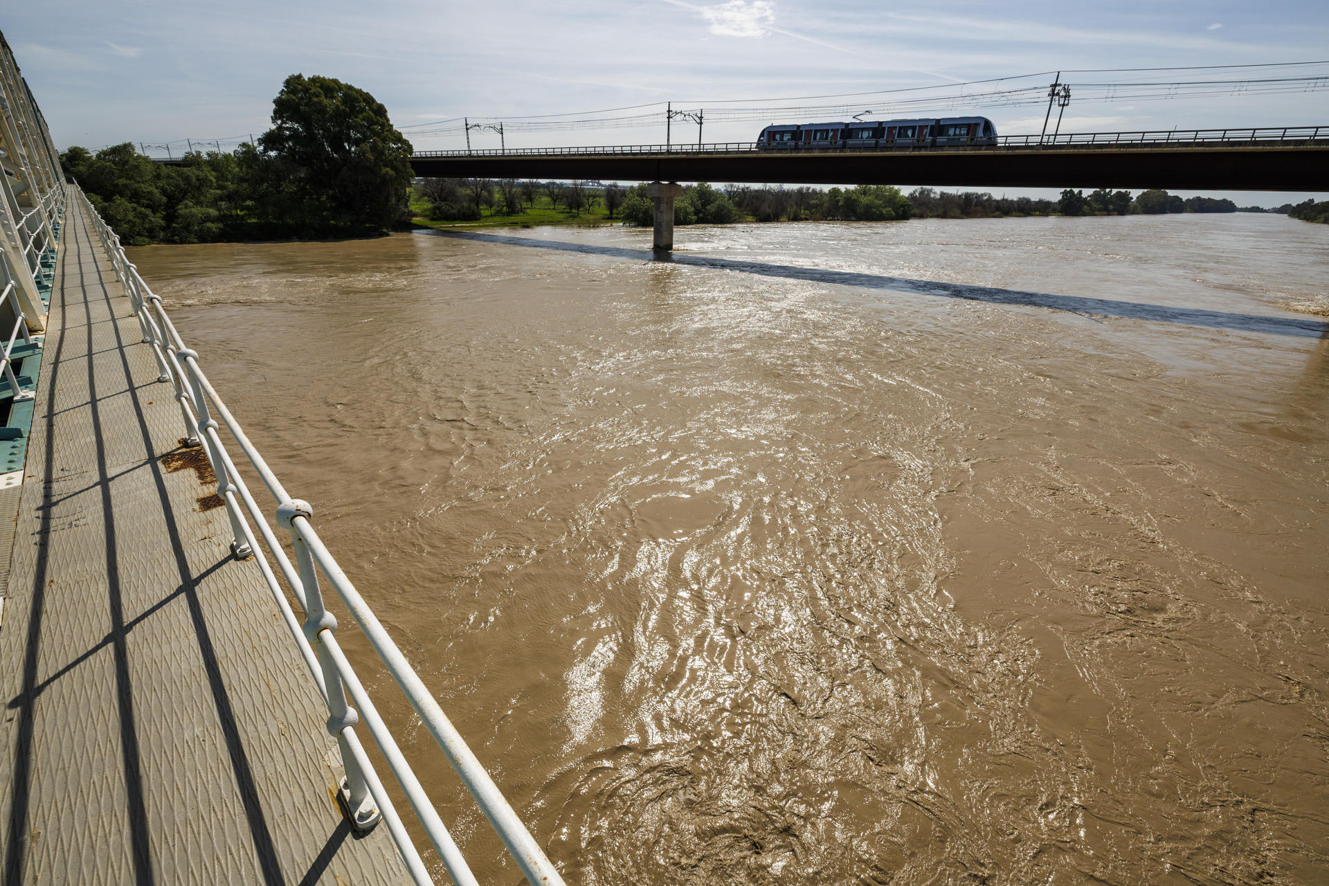 El caudal del río Guadalquivir a su paso por Sevilla. EFE/ Julio Muñoz