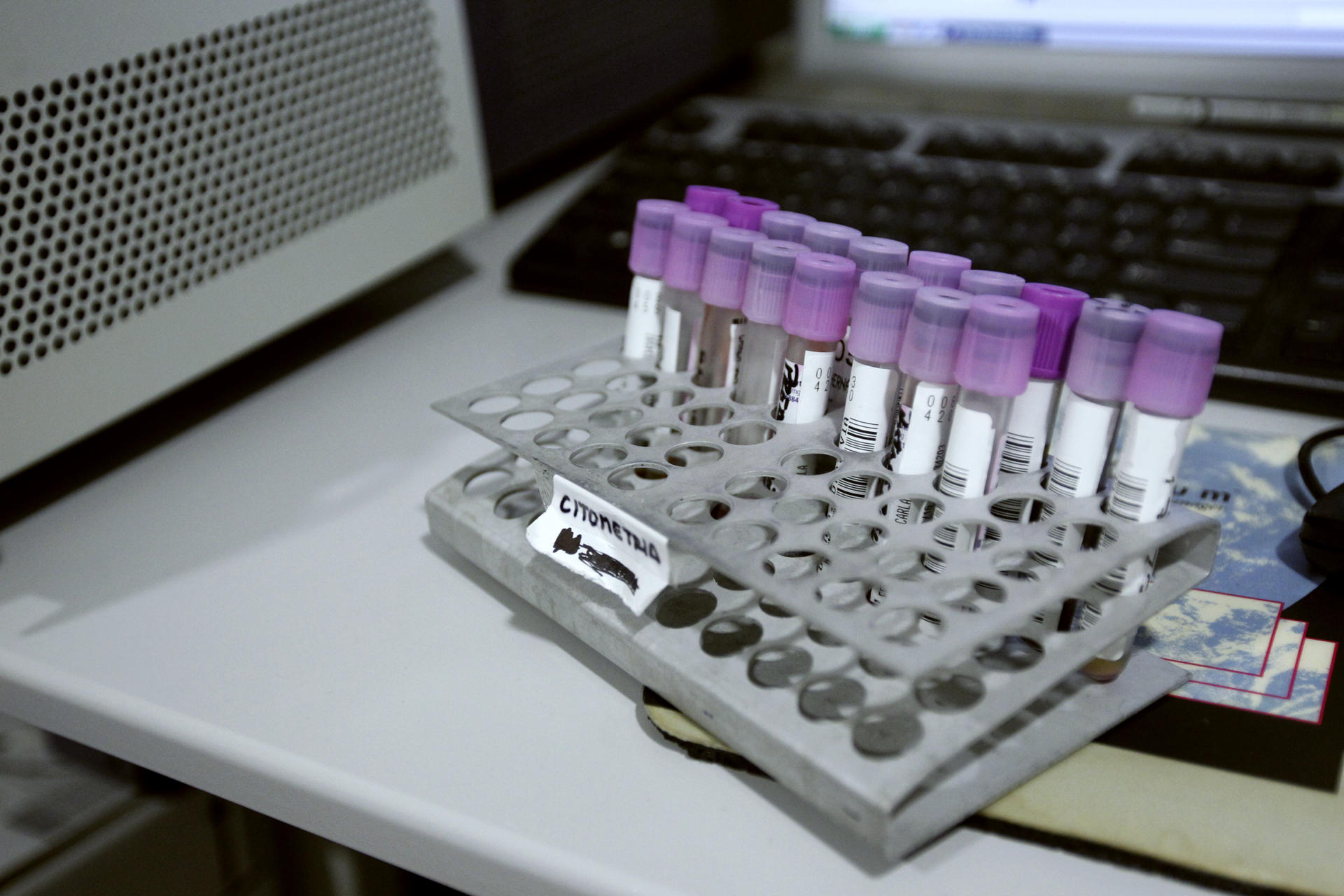 Tubos de análisis de un laboratorio en una imagen de archivo. EFE/Javier López/ra