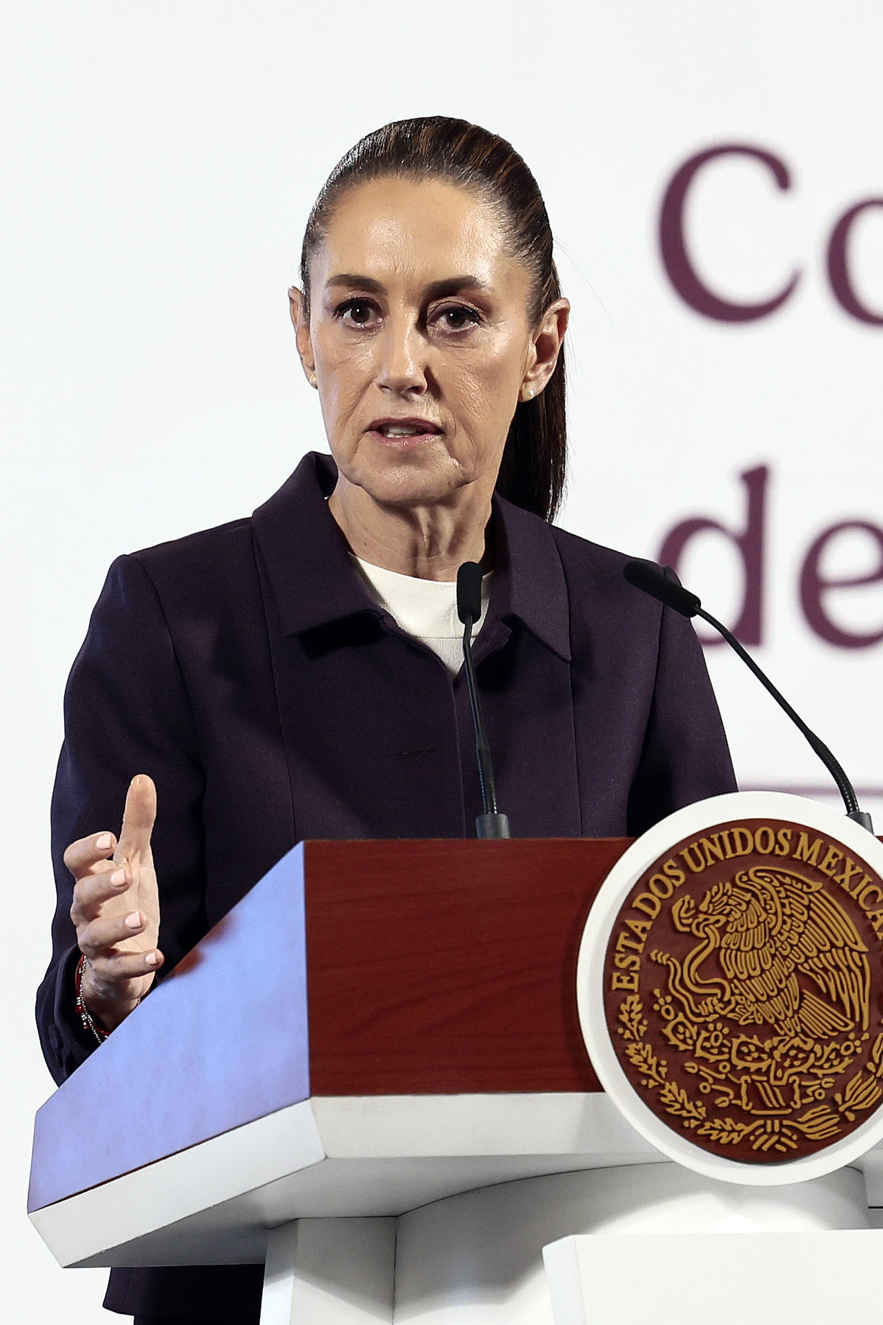 La presidenta de México, Claudia Sheinbaum, habla durante su conferencia de prensa diaria este jueves, en Palacio Nacional de la Ciudad de México (México). EFE/ José Méndez
