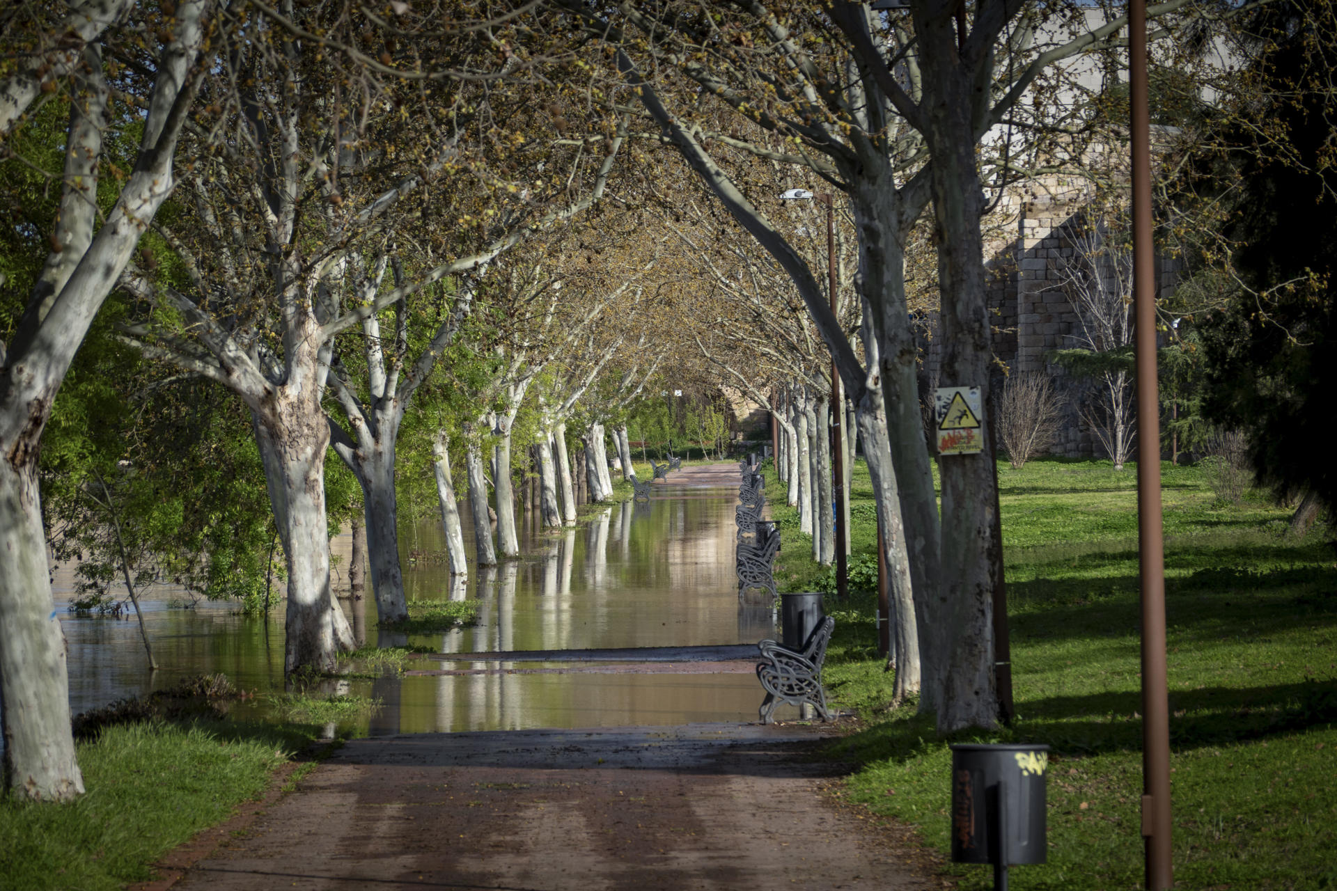 Un paseo inundado en Mérida, donde el Ayuntamiento ha activado el nivel 0 del Plan de Emergencias Municipal por la crecida del río Guadiana y pide a los ciudadanos no transitar por la zona del Parque de la Isla y junto al cauce del río debido a la crecida por los desembalses provocados por las lluvias. EFE/ Jero Morales