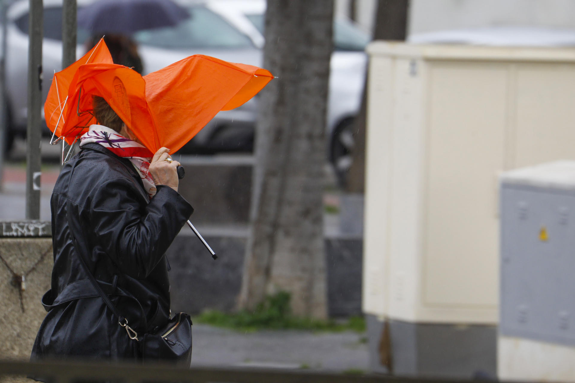 Una mujer trata de protegerse con un paraguas del temporal de viento y lluvia que azotaba este viernes la ciudad de Córdoba. EFE/Salas