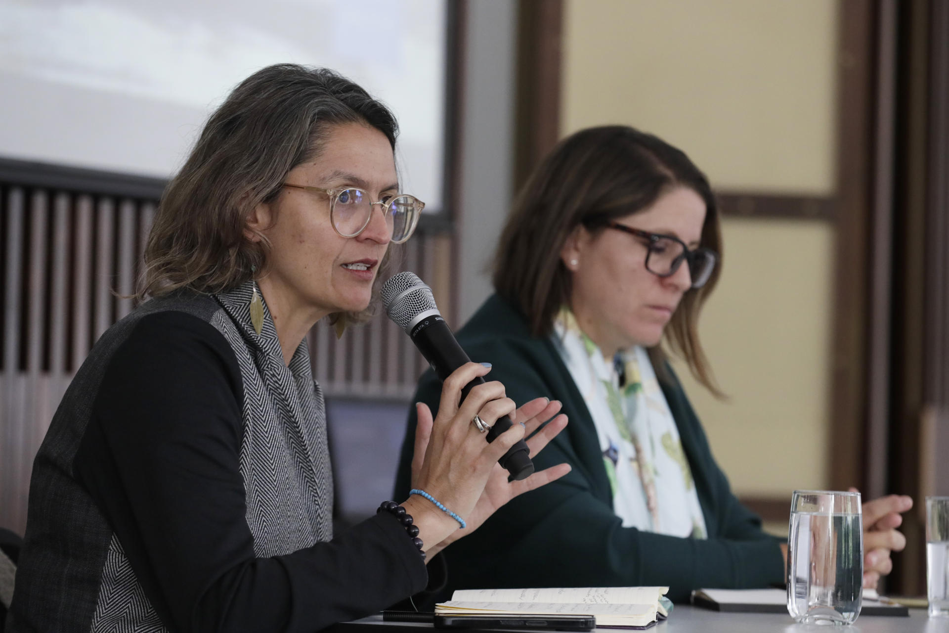 La investigadora del Centro de Estudios sobre Seguridad y Drogas (CESED), Maria Alejandra Vélez, habla durante una rueda de prensa este miércoles, en Bogotá (Colombia). EFE/ Carlos Ortega