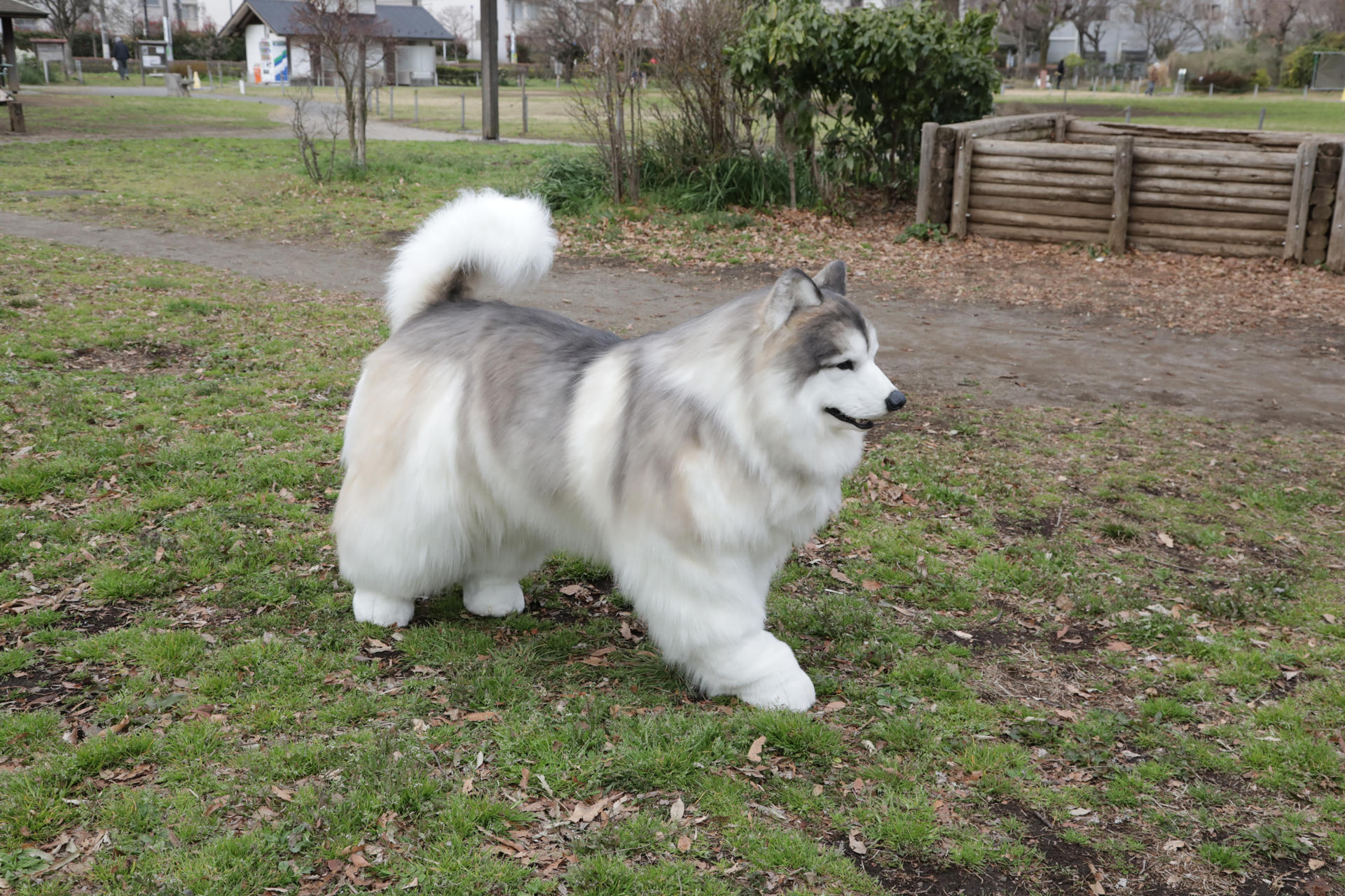 Toco, el japonés que se viralizó con sus vídeos en los que aparece disfrazado de perro con un traje canino hiperrealista, ha creado ahora el Tokotoko Zoo, un lugar donde cualquiera puede "cumplir su deseo de convertirse en animal", explicó a EFE. EFE/ Tokotoko Zoo SOLO USO EDITORIAL/SOLO DISPONIBLE PARA ILUSTRAR LA NOTICIA QUE ACOMPAÑA (CRÉDITO OBLIGATORIO)