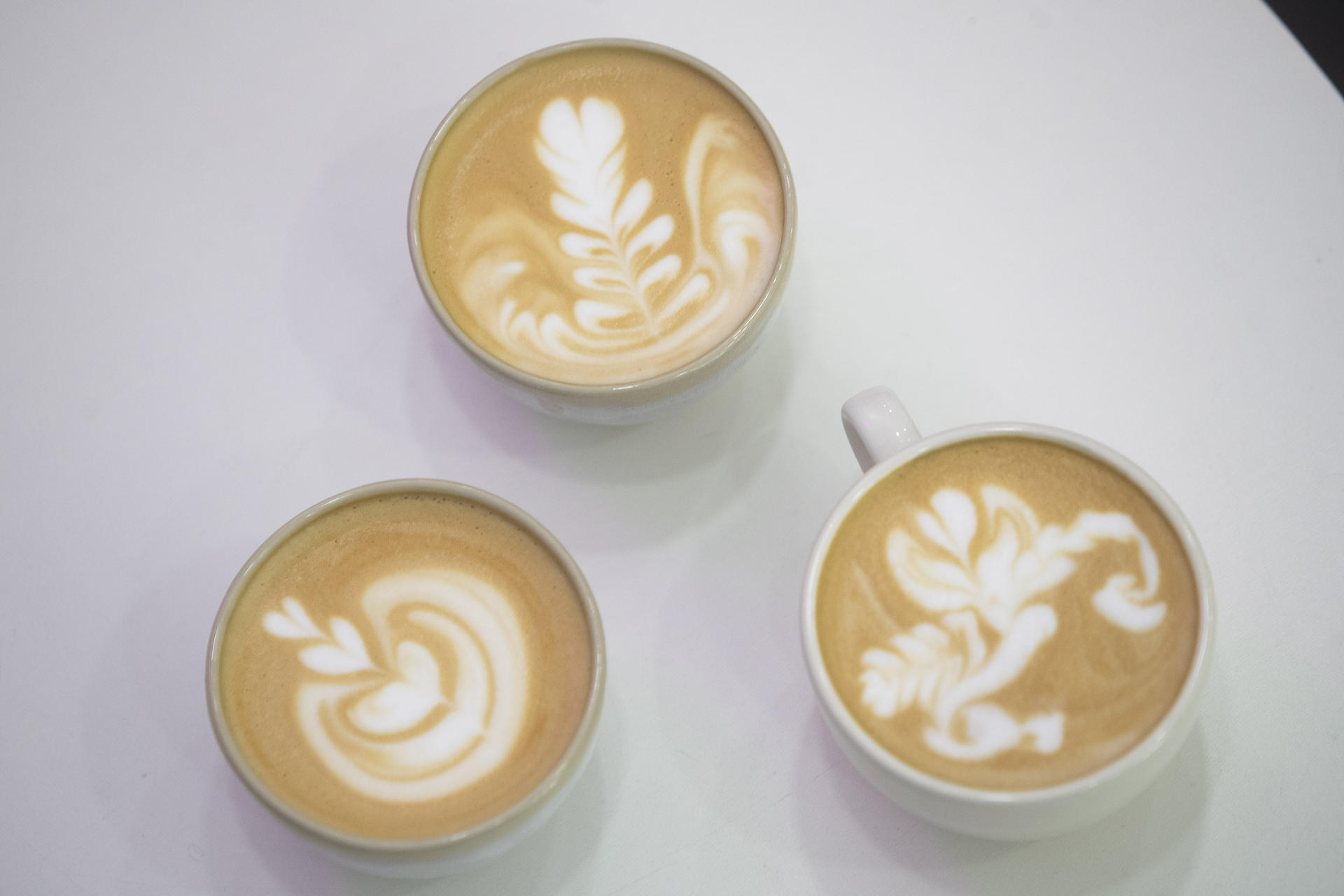 Las tazas se convierten en lienzos sobre los que los baristas plasman sus creaciones a través del 'latte art', el arte del café con leche, sabedores de que sus pinturas son efímeras, que suelen esfumarse al primer sorbo, aunque alguno logra resistir un poco más, y que tienen como objetivo dar "un plus" al producto que ofrecen. EFE/ Salvador Sas