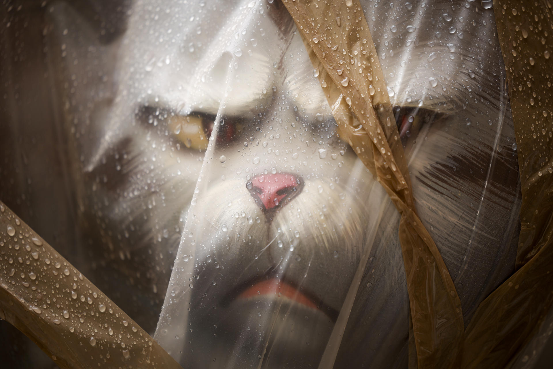Detalle de un ninot protegido de la lluvia con plástico cuando la ciudad de València afronta su último gran fin de semana fallero con frío y amenaza de lluvia en un viernes de mascletà, turismo, verbenas y toros. EFE/Biel Aliño