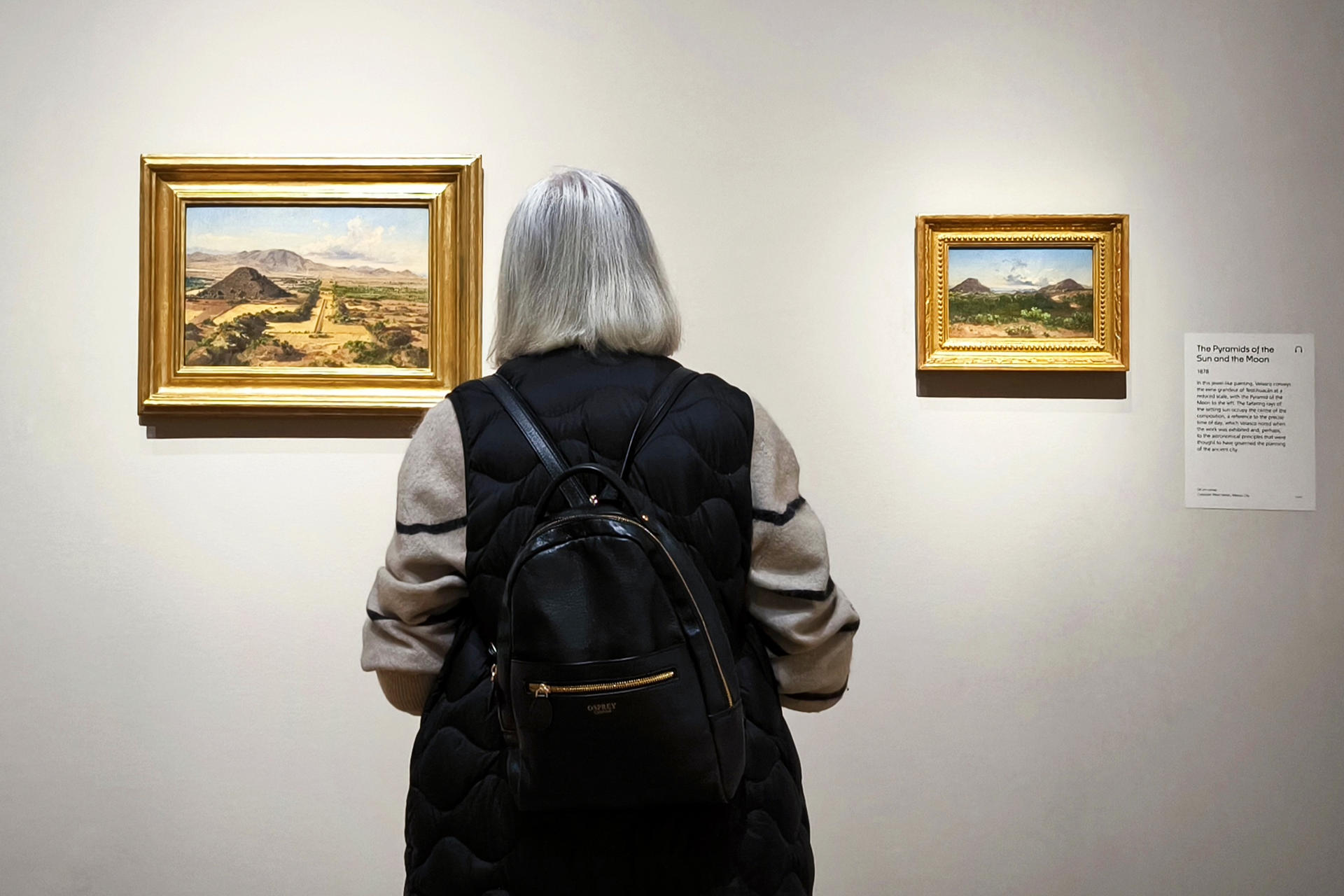 Vista de la majestuosa obra de José María Velasco, que en el siglo XIX pintó con precisión poética los paisajes del Valle de México, que centra una gran exposición en la National Gallery de Londres, la primera dedicada a un artista latinoamericano.-EFE/ Guillermo Garrido