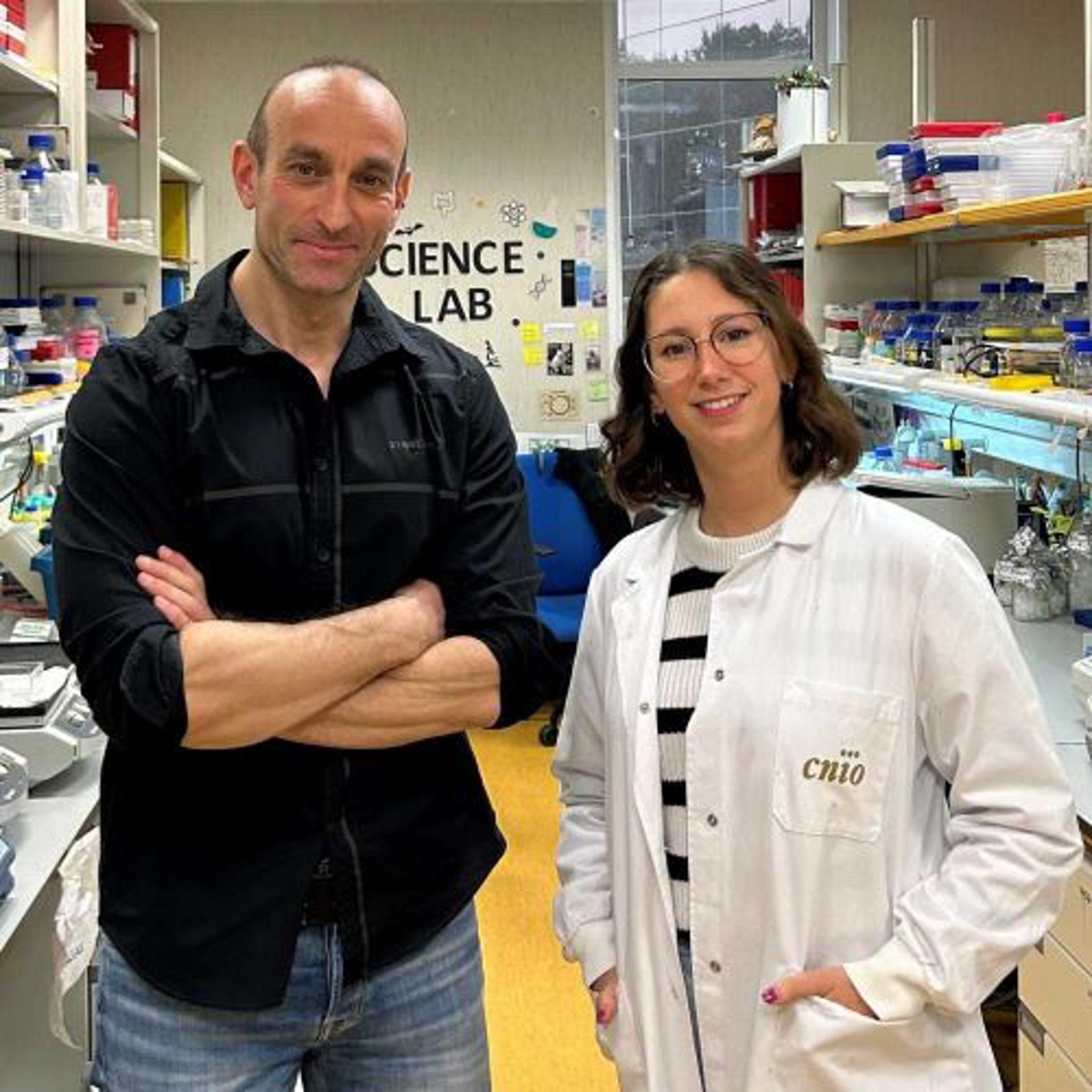 Un equipo de científicos ha logrado desvelar el mecanismo que se activa solo minutos después de producirse un daño agudo en el hígado, un hallazgo que podría beneficiar a pacientes con un daño hepático grave y crónico e incluso a quienes esperan un trasplante. En la imagen, los investigadores  Nabil Djouder y Mar Rigual, en su laboratorio en el CNIO. Imagen cedida por el CNIO.