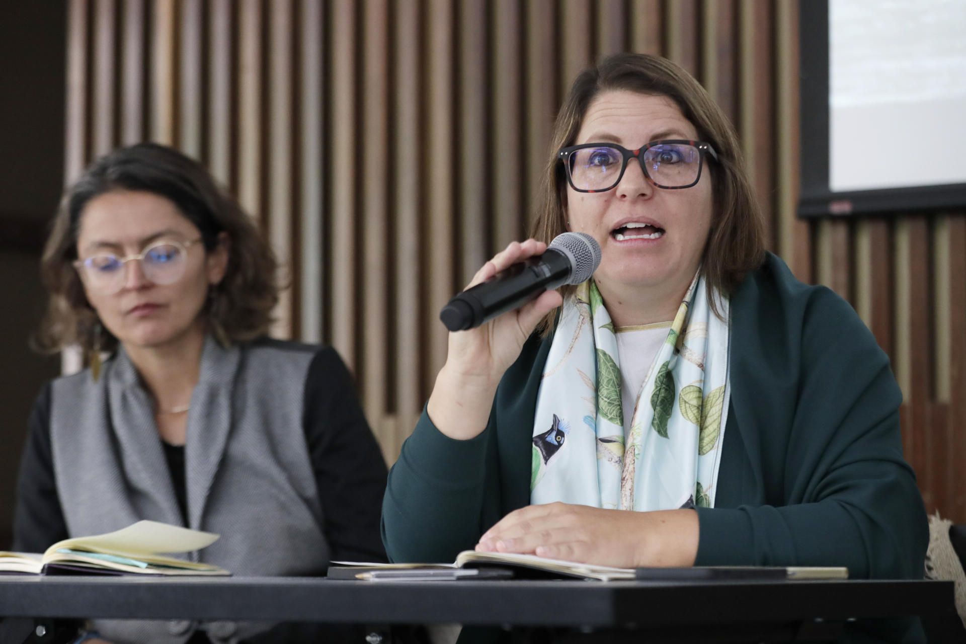 La directora de la División de las Américas de Human Rights Watch, Juanita Goebertus, habla durante una rueda de prensa este miércoles, en Bogotá (Colombia). EFE/ Carlos Ortega