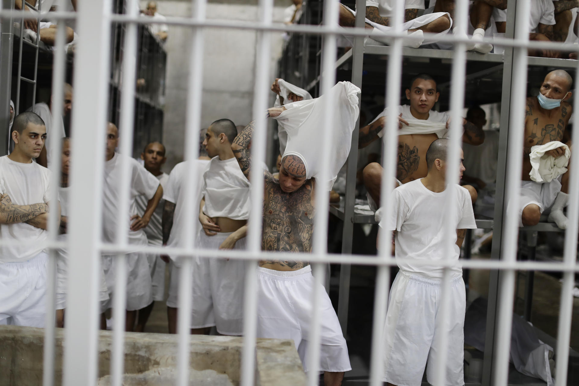 Fotografía de archivo, tomada en octubre 2023, en la que se registró a un grupo de presos en el Centro de Confinamiento para el Terrorismo (Cecot), en Tecoluca (El Salvador). EFE/Rodrigo Sura