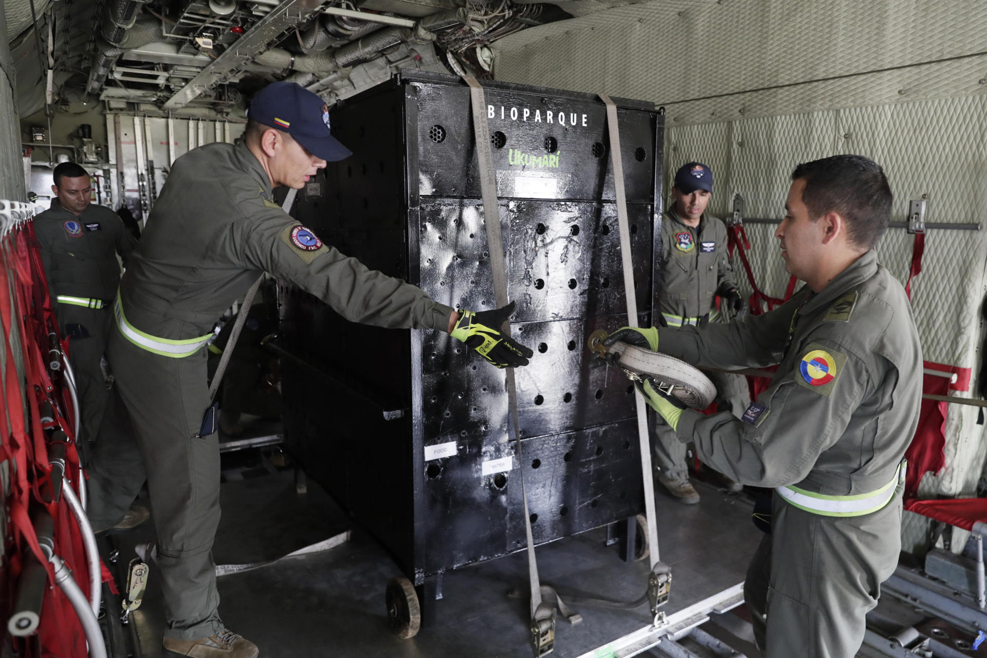 Personal del Comando Aéreo de Transporte Militar CATAM trasladan en un contenedor a Yoko, el último chimpancé que había bajo cuidado humano en Colombia este domingo, en el Aeropuerto Internacional Matecaña, en Pereira (Colombia). EFE/ Carlos Ortega