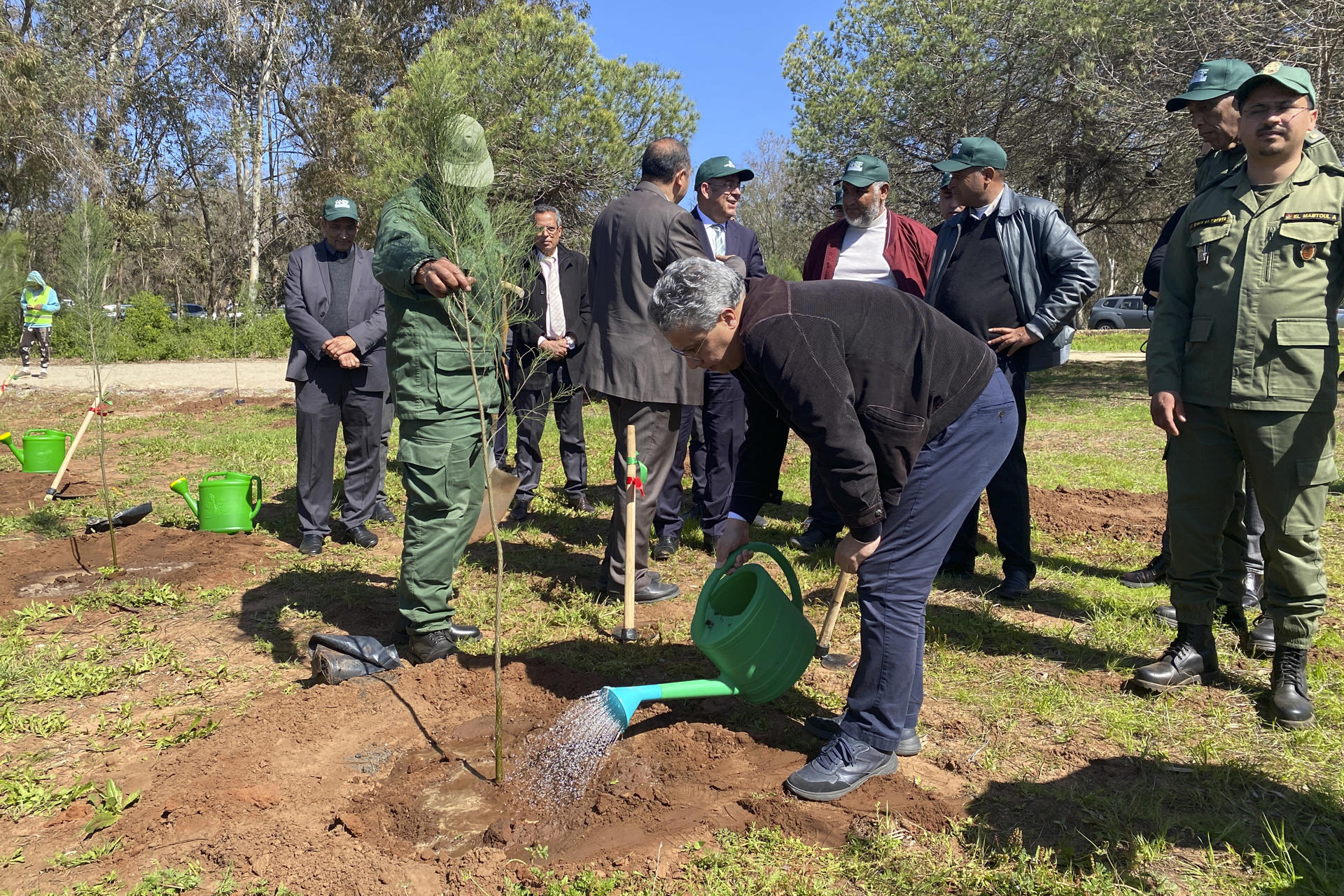Varias personas participan en la plantación de árboles en el cinturón verde de Rabat este lunes. La sequía que golpea por séptimo año consecutivo en Marruecos ha aumentado la vulnerabilidad de los bosques urbanos y provocado la muerte progresiva los árboles, una situación que el país magrebí intenta solucionar con un plan de reforestación y mantenimiento de estos espacios de recreo. EFE/ Fatima Zohra Bouaziz