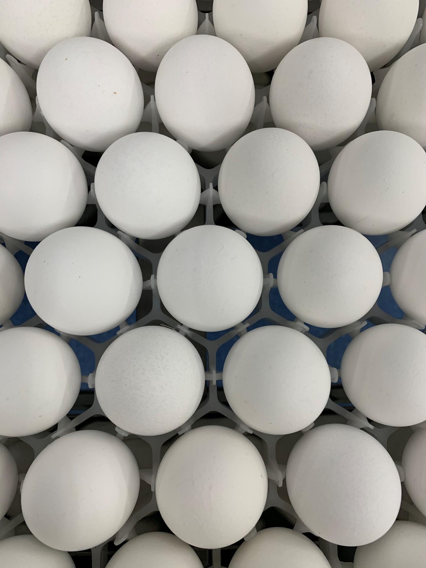 Detalle de varios huevos de gallina. EFE/ Alba Santandreau