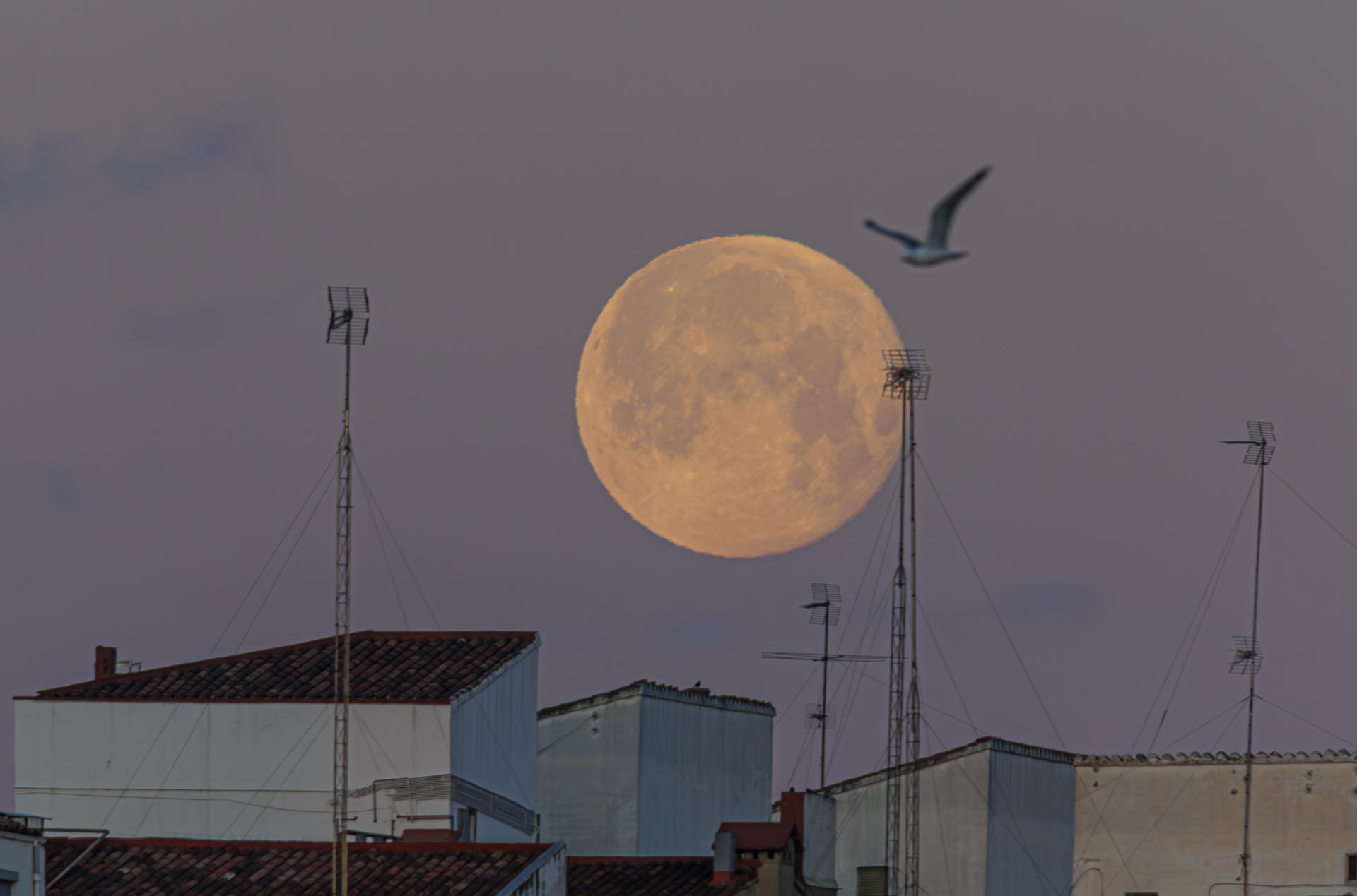 La Luna en una fotografía de archivo tomada desde la Tierra. EFE/ Javier Belver