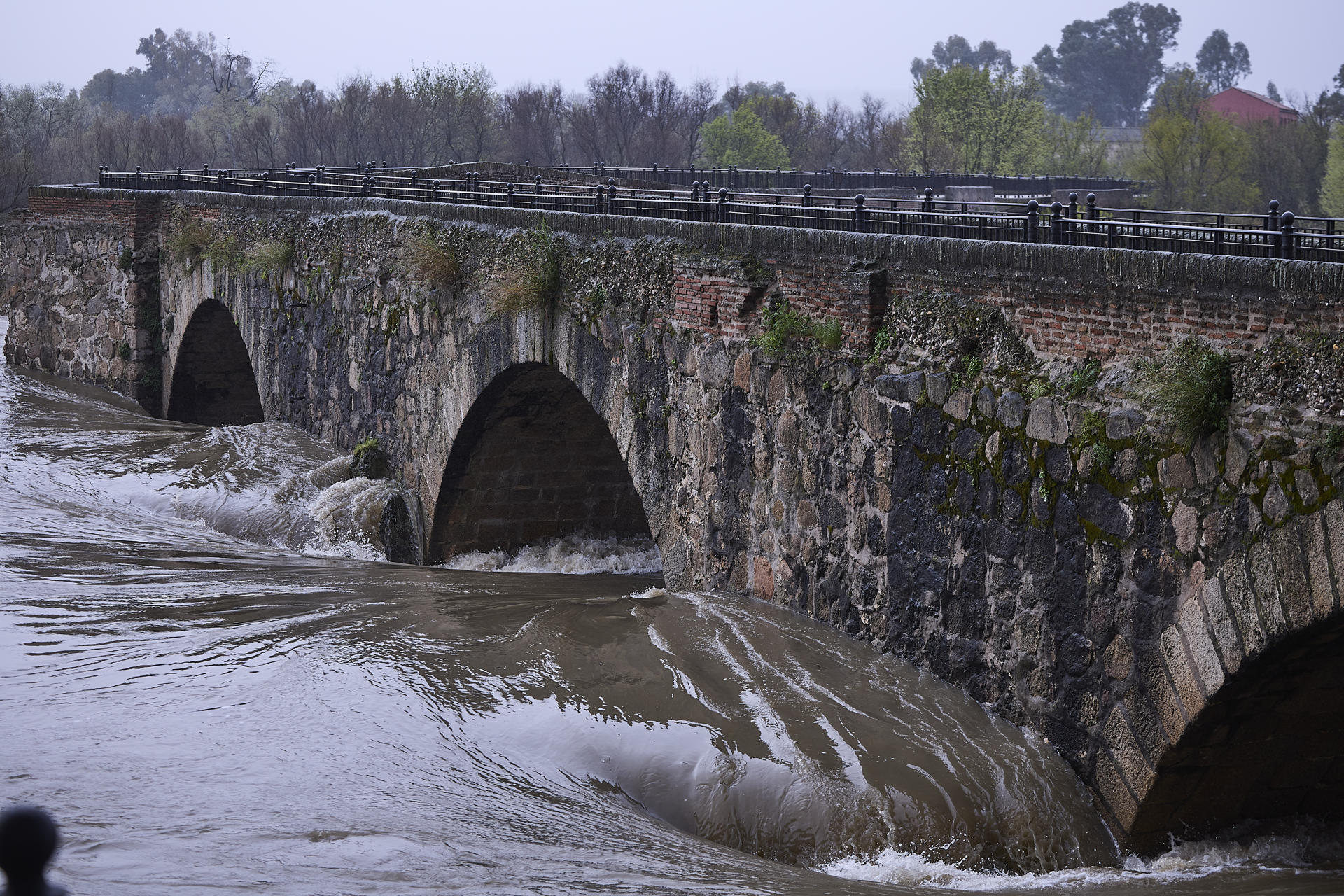 Vista del río Tajo a su paso por Talavera de la Reina (Toledo) este sábado. EFE/ Manu Reino