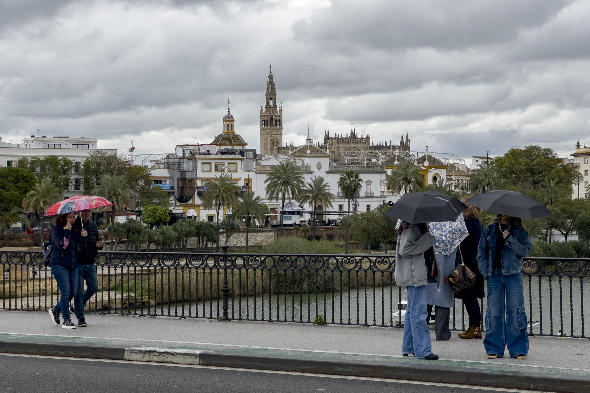 Fotografía de varias personas protegiéndose de la lluvia en Sevilla, este domingo. EFE/David Arjona