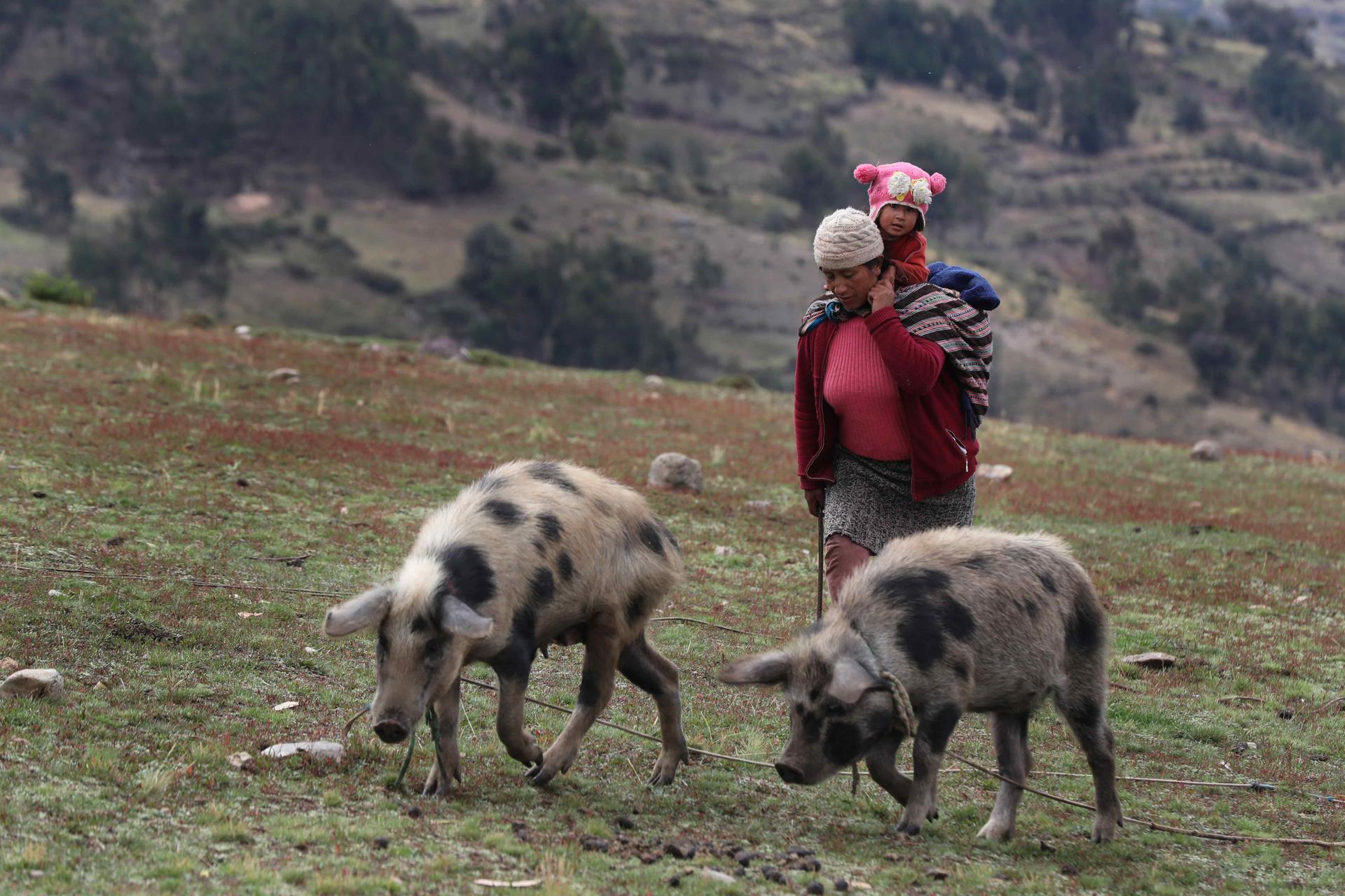 Una madre con su hija en los Andes del centro de Perú, en una fotografía de archivo. EFE/Paolo Aguilar