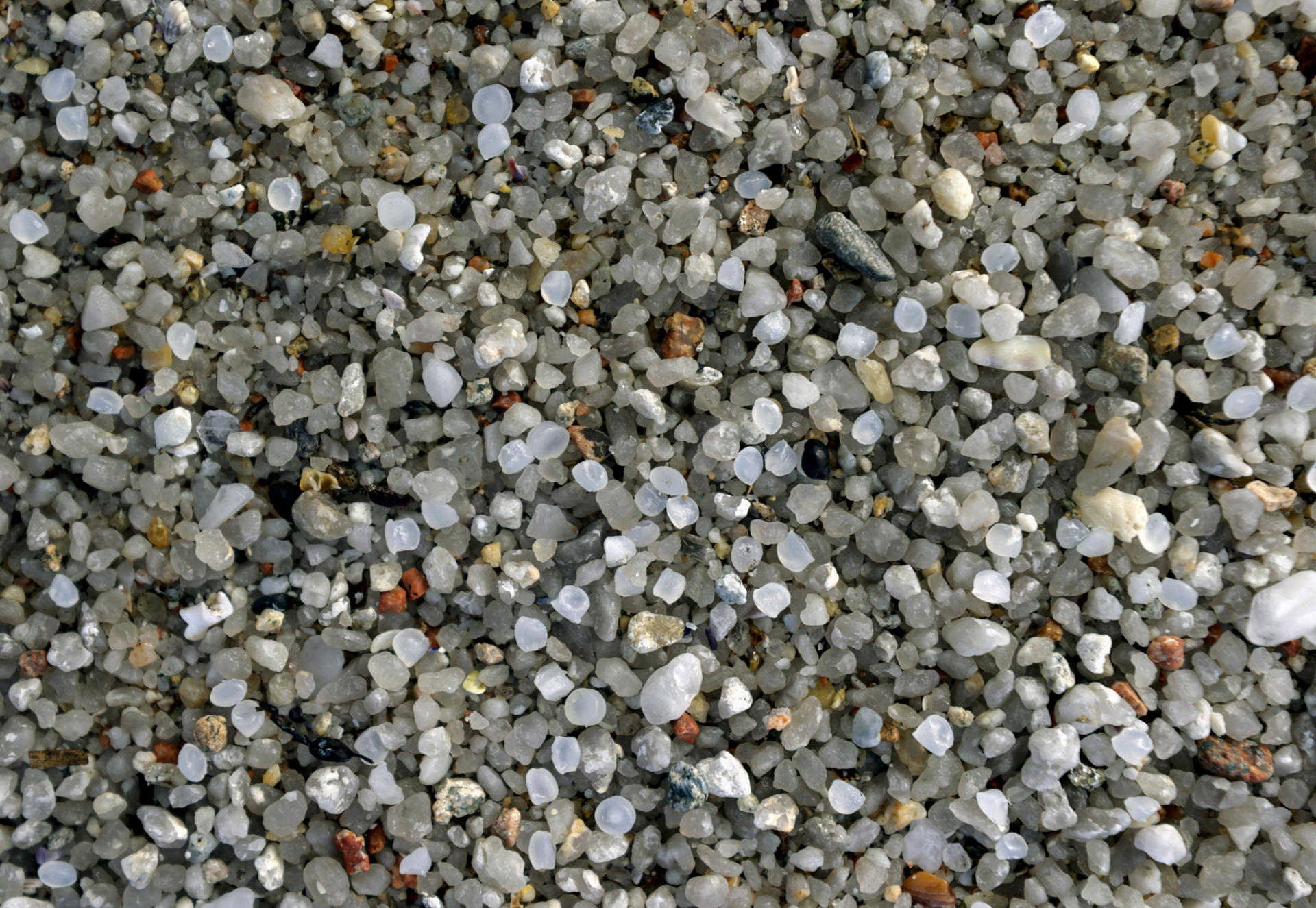 Imagen de archivo de "pellets" mezclados con arena gruesa en la playa de Lago, en Galicia, en enero de 2024. EFE/Cabalar/Archivo
