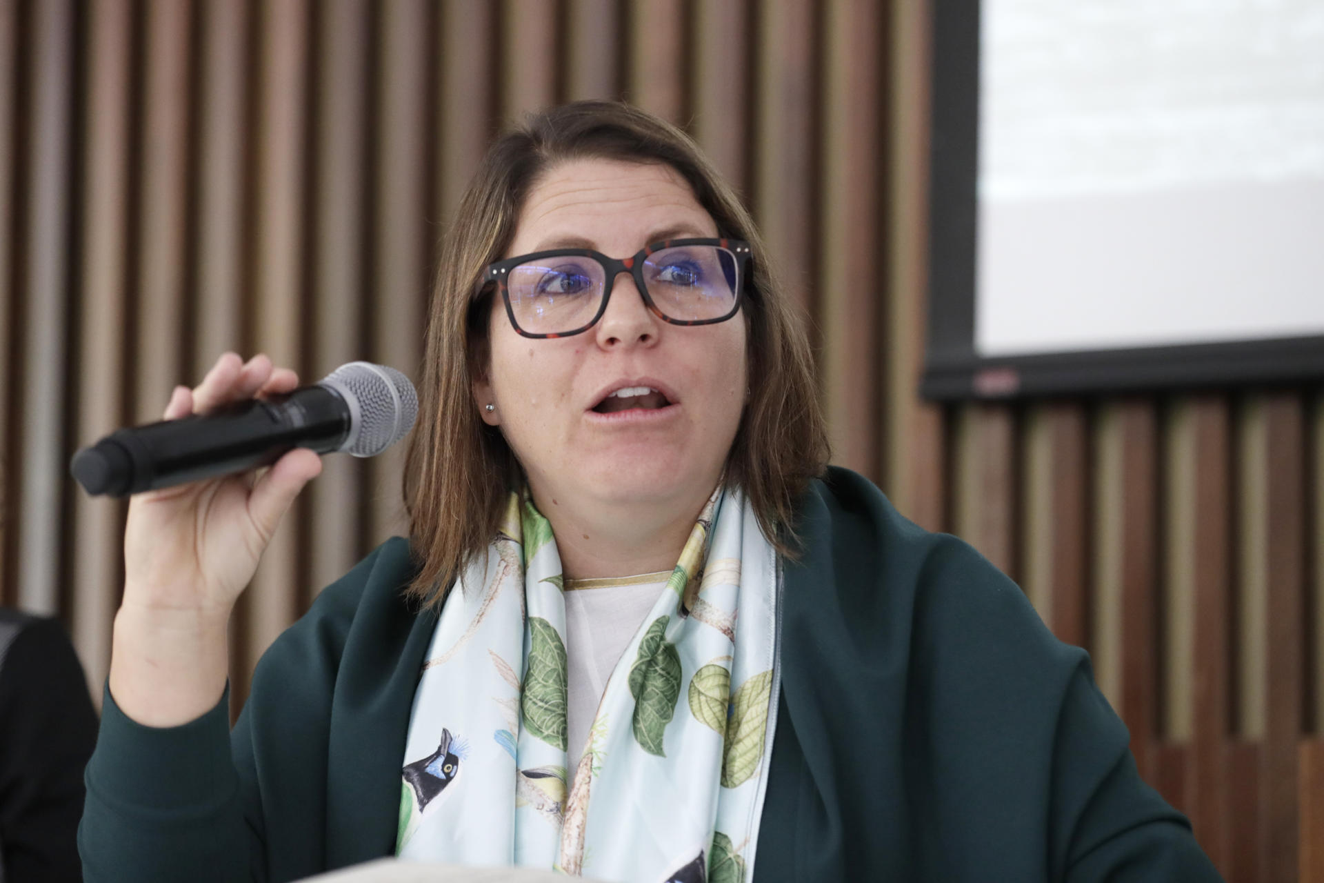 La directora de la División de las Américas de Human Rights Watch, Juanita Goebertus, habla durante una rueda de prensa este miércoles, en Bogotá (Colombia). EFE/ Carlos Ortega