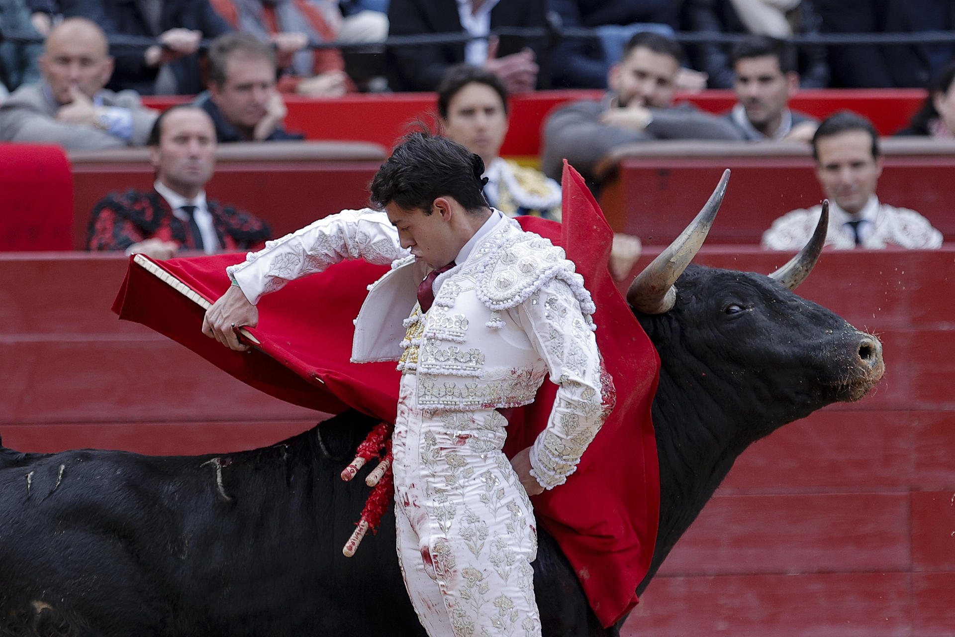 El diestro Alejandro Chicharro, que toma la alternativa, da un pase a uno de sus astados durante la corrida de la Feria de Fallas, este sábado en Valencia. EFE/ Manuel Bruque