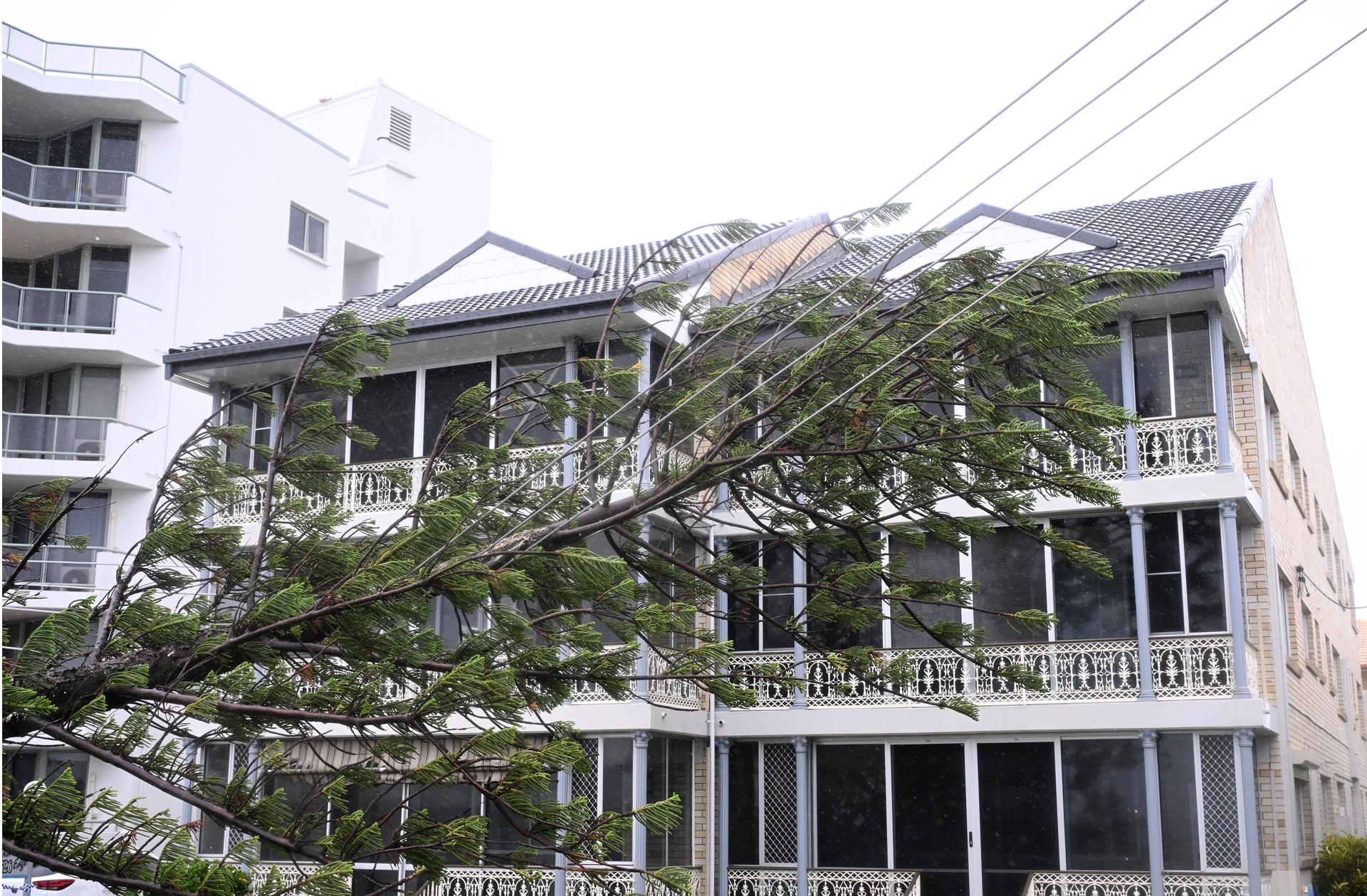 Gold Coast (Australia), 08/03/2025.- A tree lays on powerlines at Labrador on the Gold Coast, Australia, 08 March 2025. Cyclone Alfred has weakened into a tropical low as it neares south-east Queensland and northern New South Wales, bringing heavy rainfall and damaging winds as hundreds of thousands of properties are without power. EFE/EPA/DAVE HUNT AUSTRALIA AND NEW ZEALAND OUT