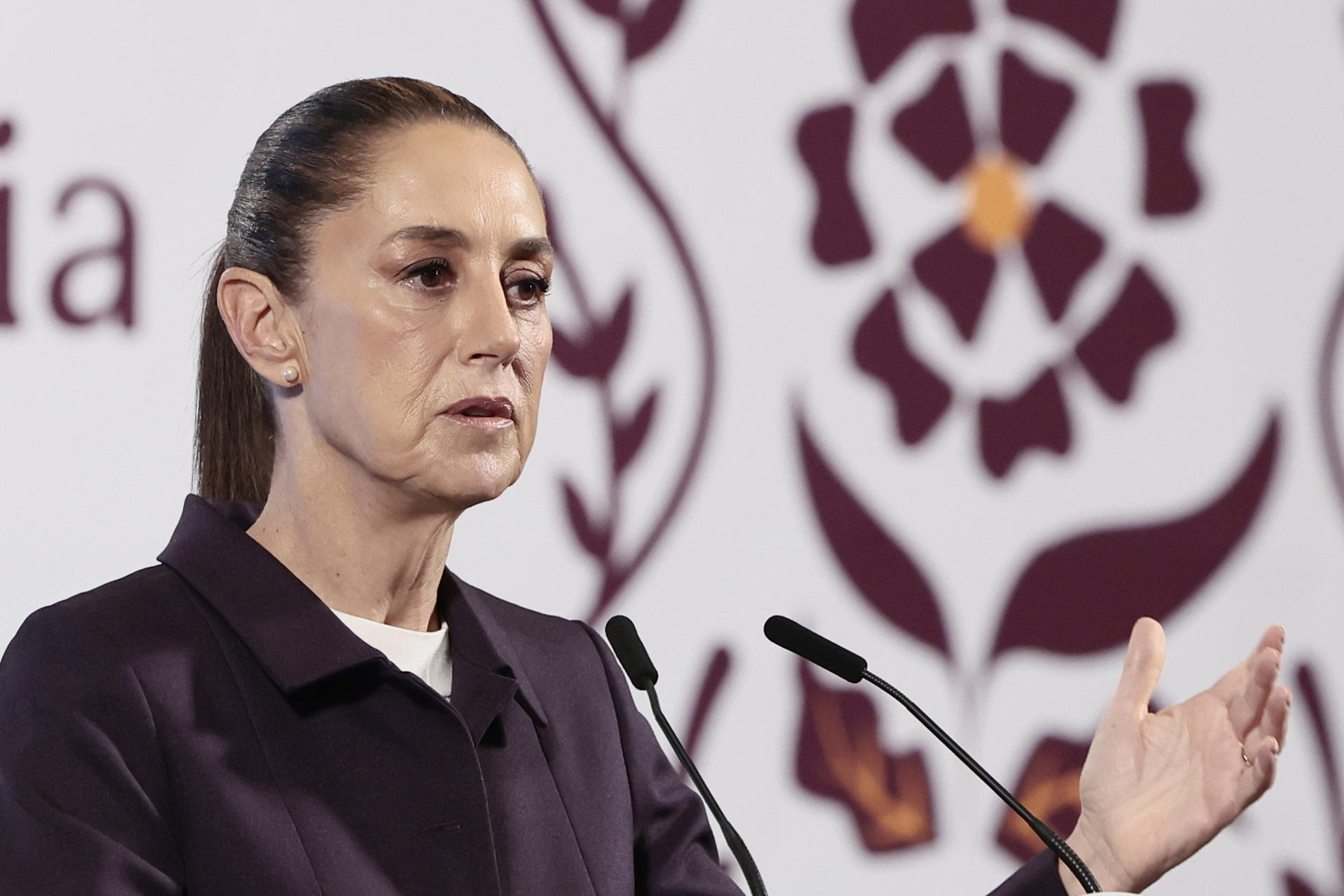 La presidenta de México, Claudia Sheinbaum, habla durante una rueda de prensa este jueves, en el Palacio Nacional, en Ciudad de México (México). EFE/ José Méndez