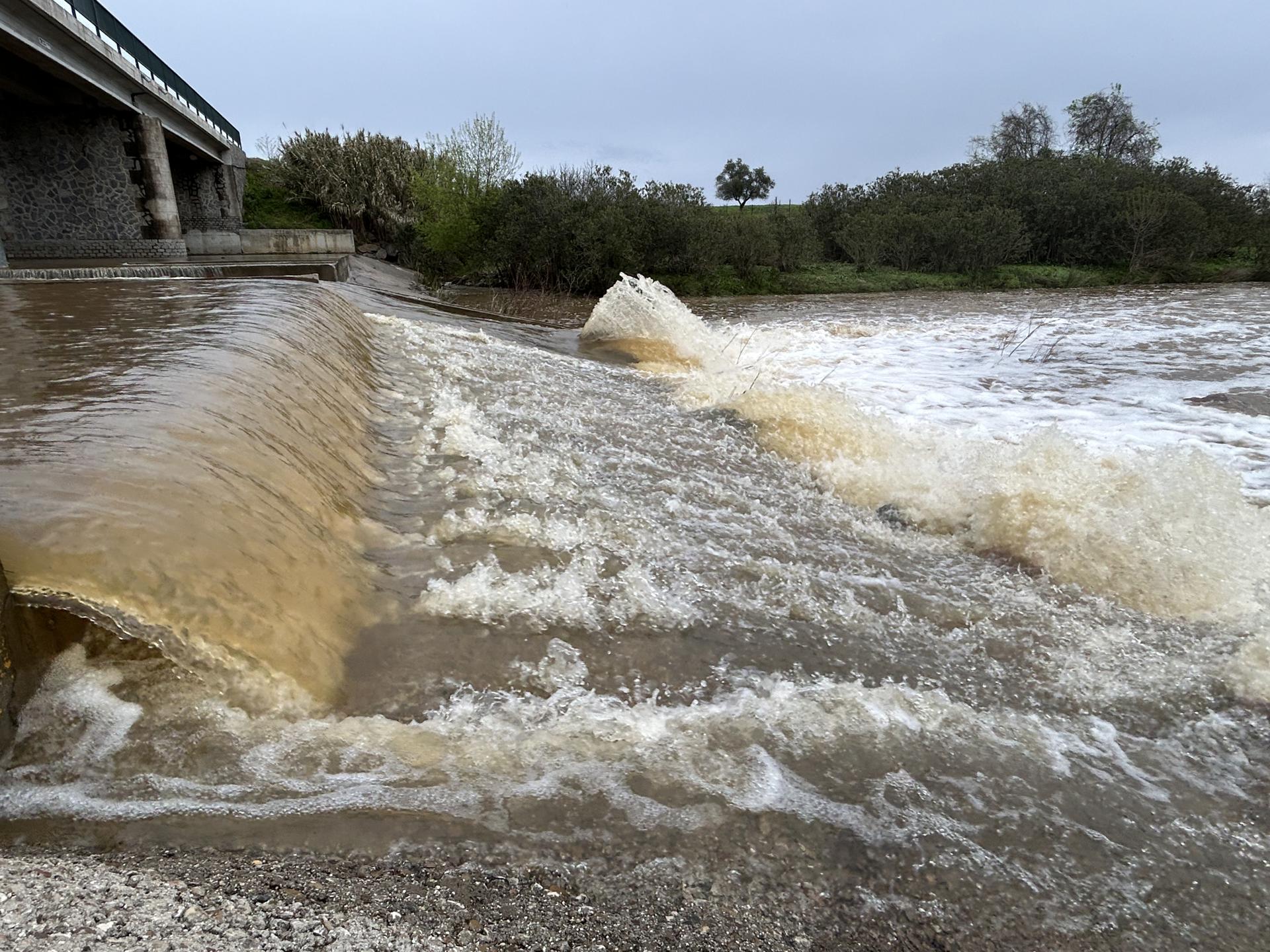 Imagen del cauce del río Guadiamar a su paso por Gerena (Sevilla). EFE/Fermín Cabanillas
