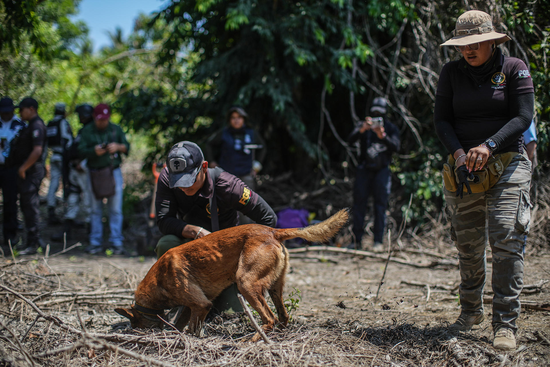 Personal de la fiscalía estatal, llevan a cabo este martes la búsqueda de personas desaparecidas en Acapulco, estado de Guerrero (México). EFE/ David Guzmán