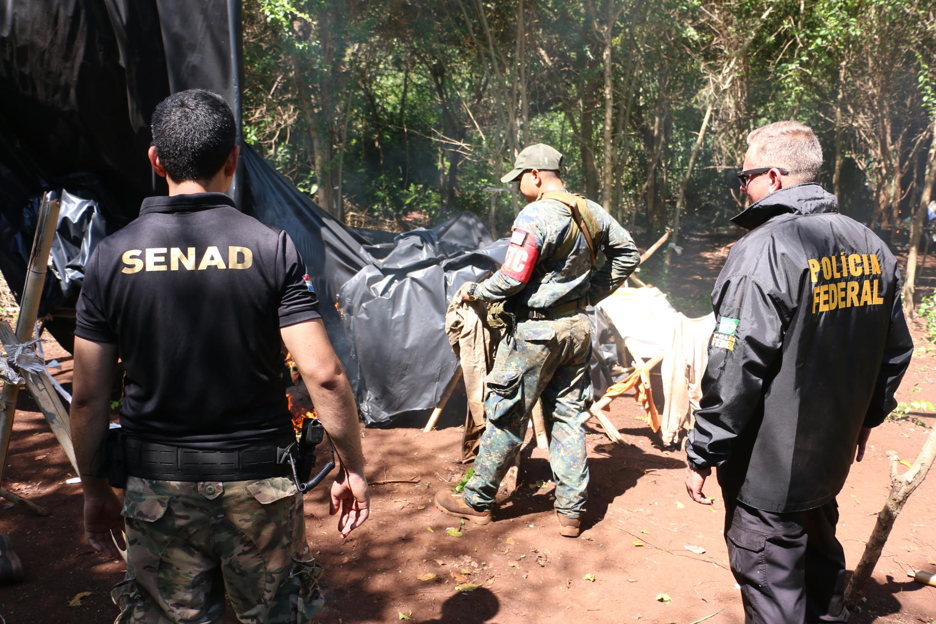 Fotografía cedida por la Secretaría Nacional Antidrogas de Paraguay (Senad) donde se observan integrantes del Senad y la Policía Federal de Brasil durante un operativo para destruir cultivos de marihuana este jueves, en Amambay (Paraguay). EFE/ Secretaría Nacional Antidrogas de Paraguay