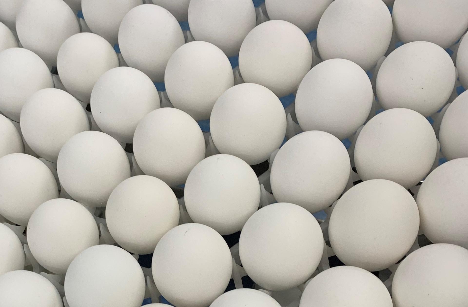 Los precios de los huevos de gallina han experimentado un fuerte aumento en los últimos meses en Estados Unidos, tras el brote de gripe aviar que afecta al sector desde hace un año y que ha obligado a sacrificar elevados números de aves. EFE/Alba Santandreau