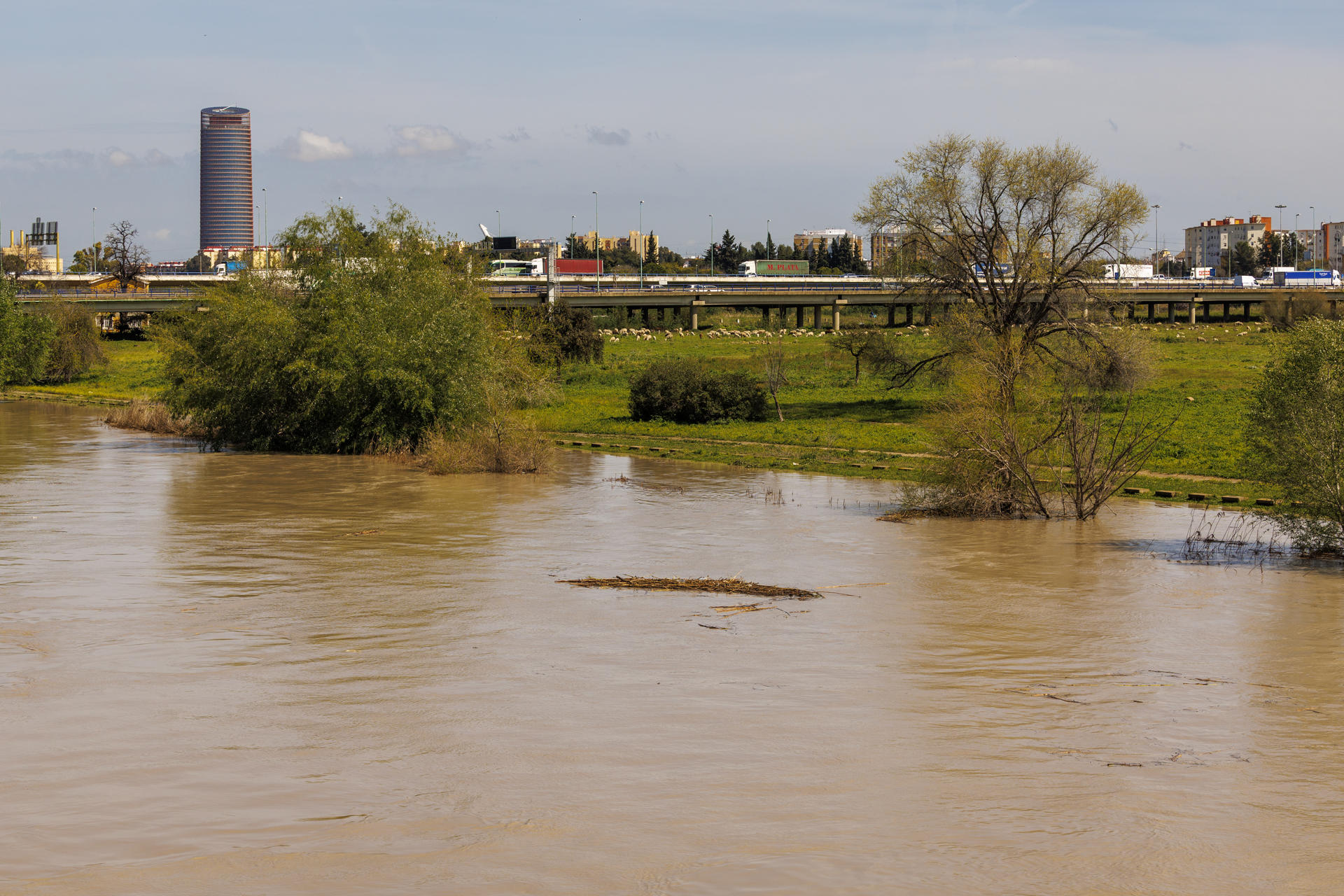 El caudal del río Guadalquivir a su paso por Sevilla. EFE/ Julio Muñoz