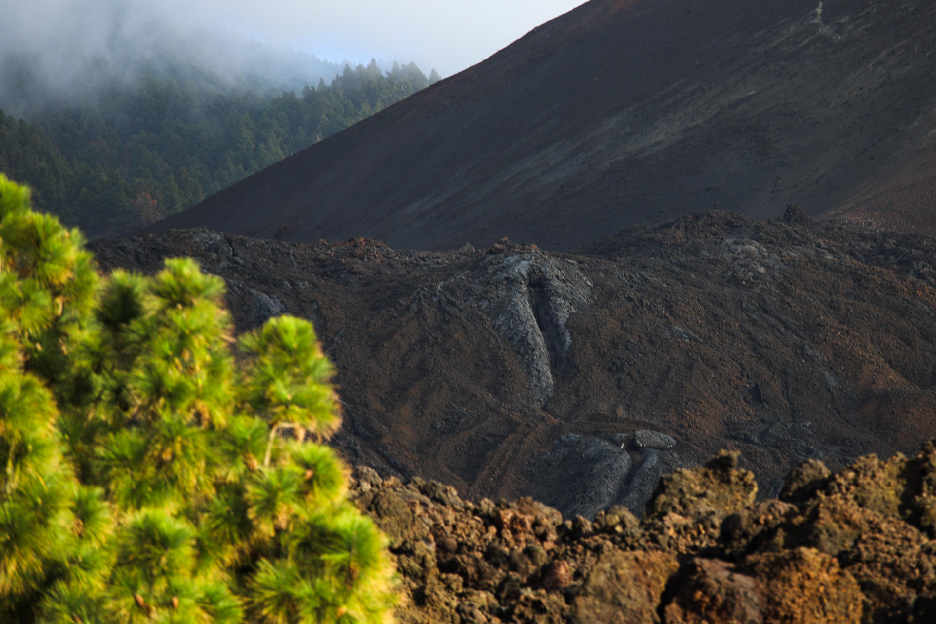 Tres años después de la erupción del volcán Tajogaite, el Instituto Geológico y Minero de España (IGME), ha realizado una serie de conferencias para informar de sus actuaciones en la zona, en las que han recalcado la importancia de preservar el patrimonio geológico del volcán. EFE / Luis G Morera