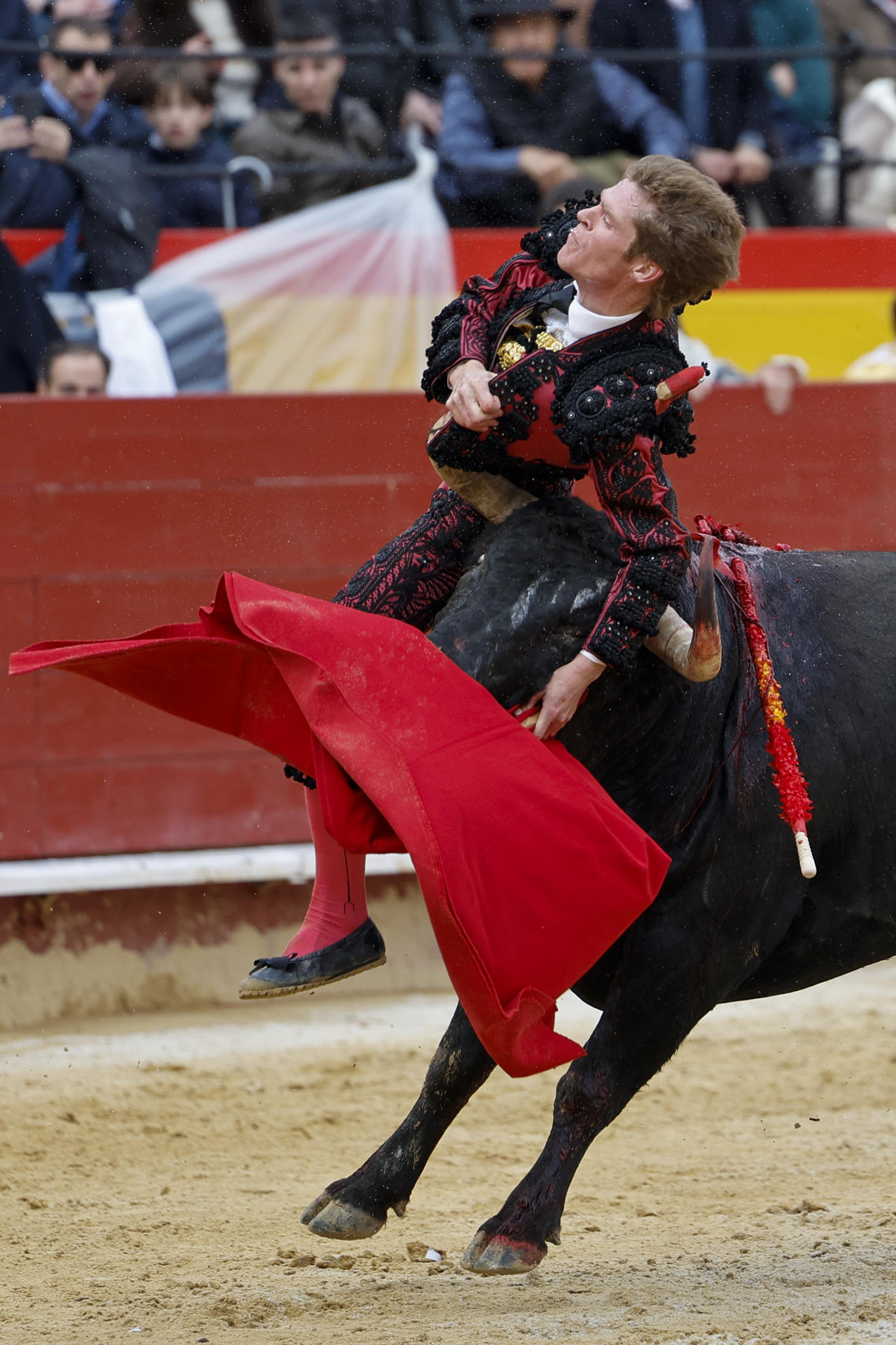 El diestro, Borja Jiménez, sufre una cogida de su primer astado, Farolillo, durante la corrida de la Feria de Fallas con toros de La Quinta para el mano a mano que comparte con Román. EFE/Ana Escobar