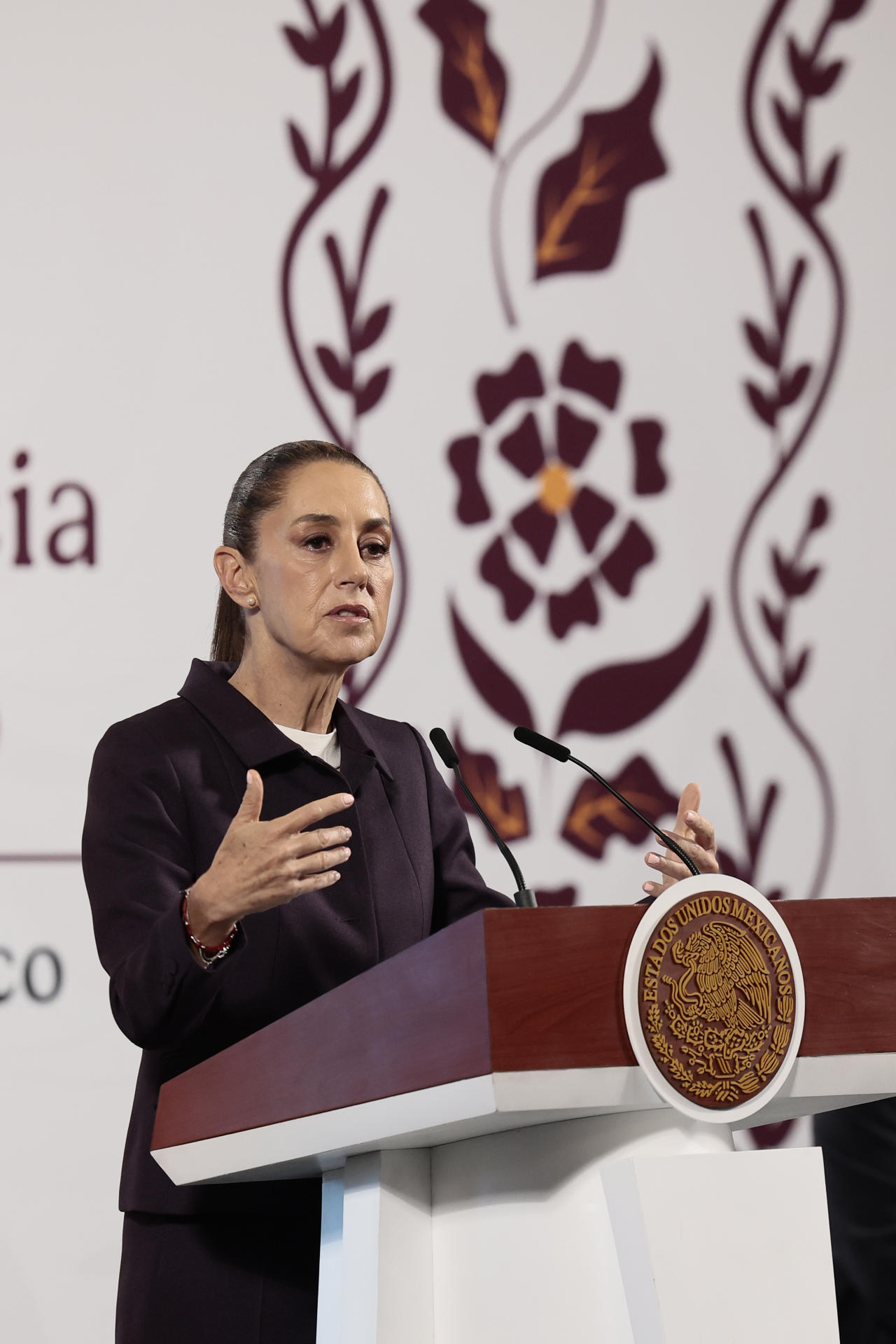 La presidenta de México, Claudia Sheinbaum, habla durante su conferencia de prensa diaria este jueves, en Palacio Nacional de la Ciudad de México (México). EFE/ José Méndez
