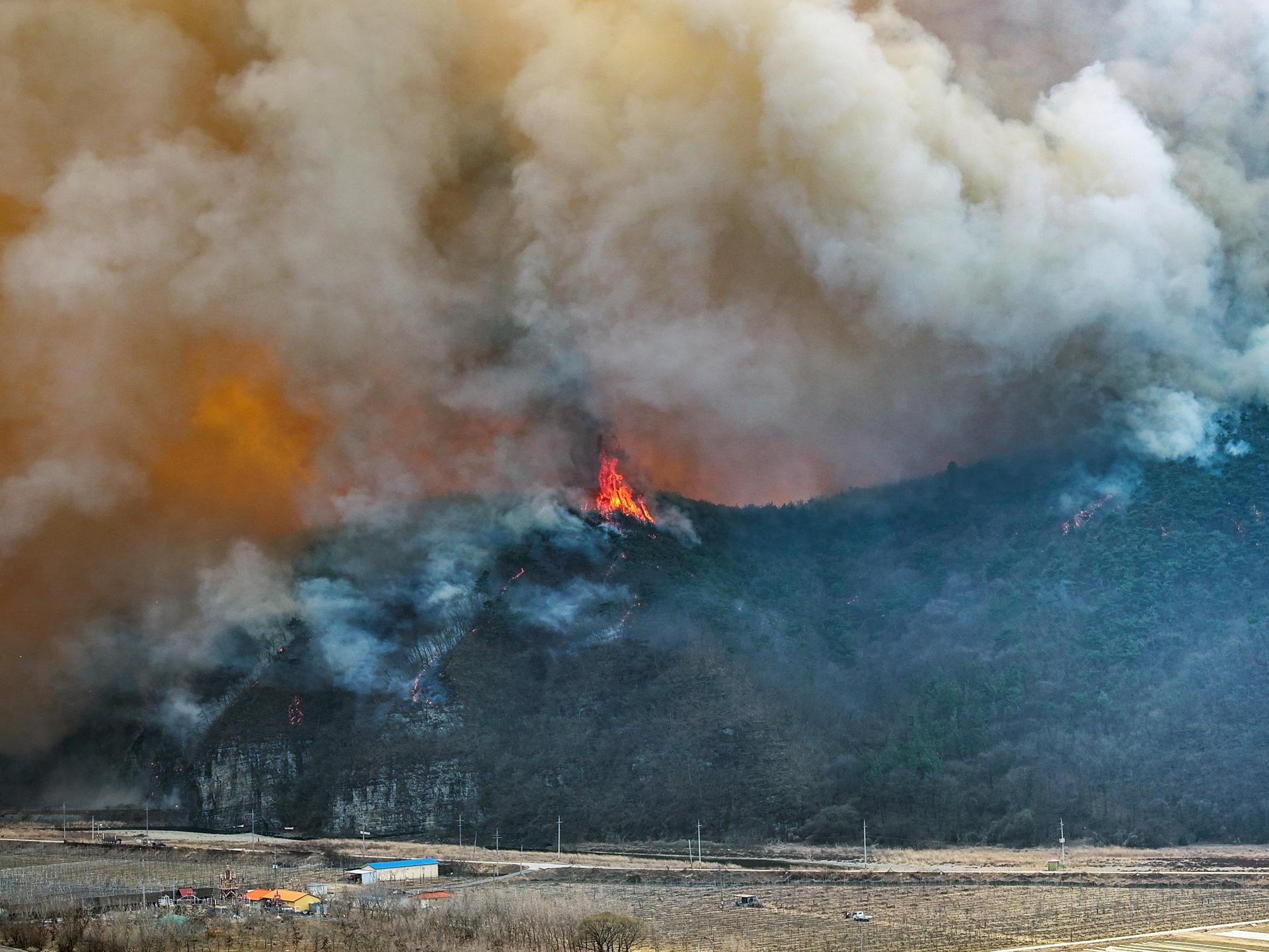 EFE/EPA/YONHAP SOUTH KOREA OUT