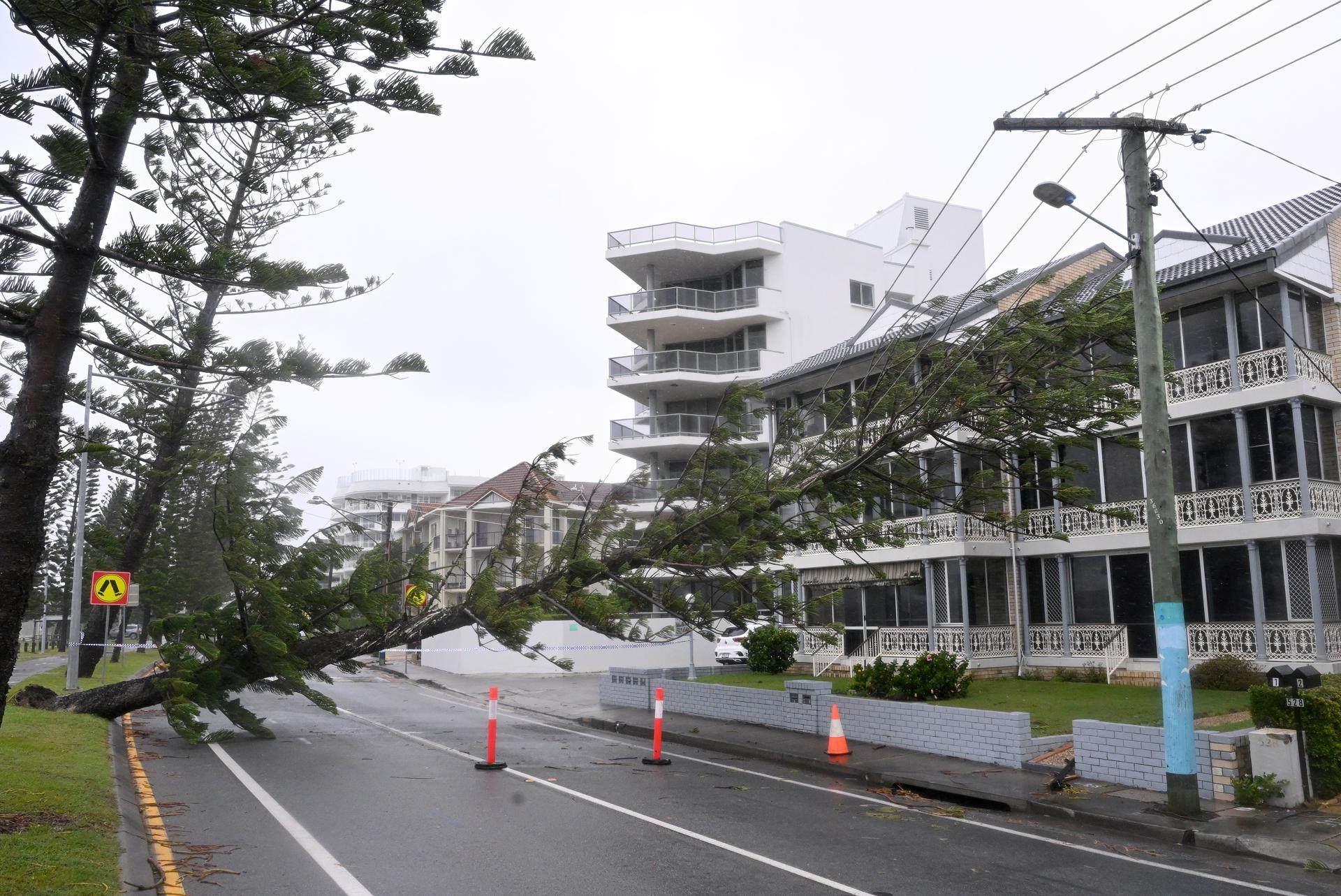 Gold Coast (Australia), 08/03/2025.- A tree lays on powerlines at Labrador on the Gold Coast, Australia, 08 March 2025. Cyclone Alfred has weakened into a tropical low as it neares south-east Queensland and northern New South Wales, bringing heavy rainfall and damaging winds as hundreds of thousands of properties are without power. EFE/EPA/DAVE HUNT AUSTRALIA AND NEW ZEALAND OUT
