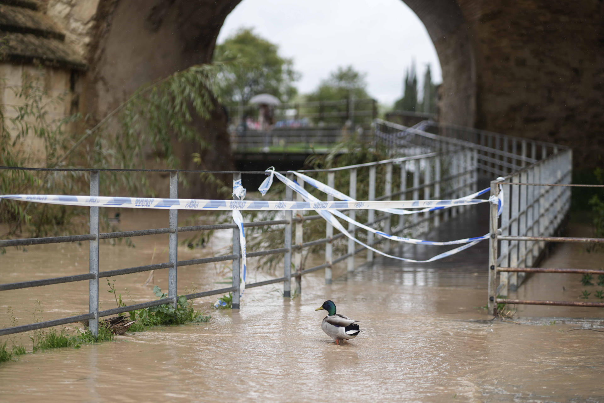 Pasarela bajo el Puente Romano cortada por el caudal de agua que lleva el río Guadalquivir a su paso por Córdoba que ha entrado en nivel naranja o de vigilancia al haber superado los dos metros de lámina de agua en la estación de Casillas, en el casco urbano de Córdoba, según los datos de la Confederación Hidrográfica del Guadalquivir (CHG). EFE/Rafa Alcaide