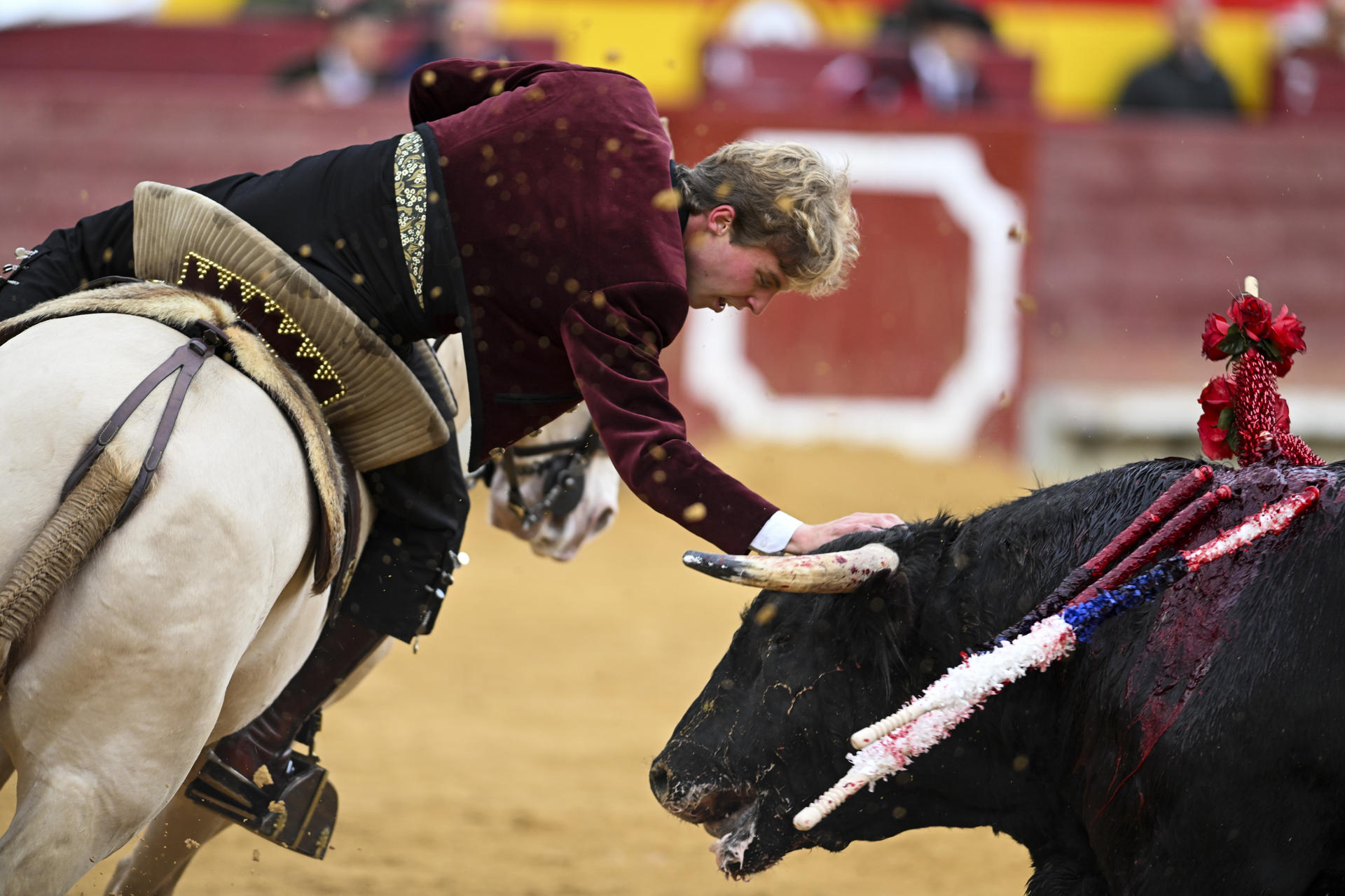 El rejoneador Duarte Fernandes desafía a su primer astado durante la corrida de rejones de la Feria de la Magdalena, con toros de Fermín Bohórquez y en la que ha compartido cartel con Andy Cartagena y Diego Ventura. EFE/Andreu Esteban