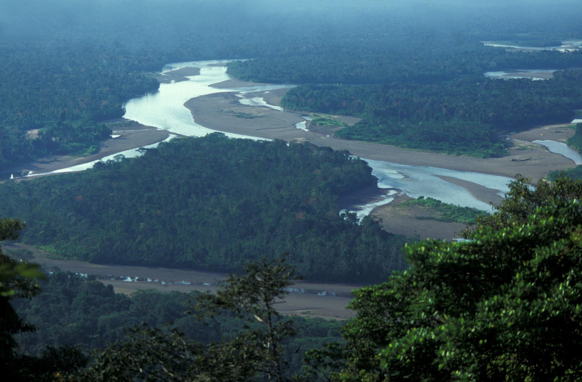 Fotografía de archivo que muestra una panorámica de Parque Nacional Bahuaja Sonene, con más de un millón de hectáreas de extensión, situado en los departamentos peruanos de Madre de Dios y Puno, fronterizos con Brasil y Bolivia. EFE