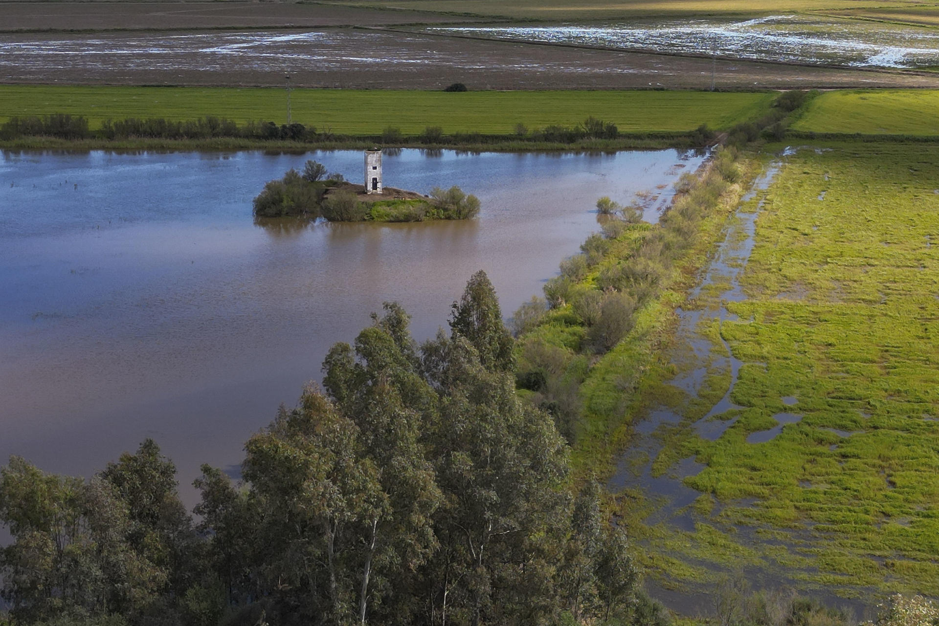 Fotografía este miércoles, de lagunas inundadas de agua en las inmediaciones de Doñana junto a la Dehesa de Abajo en Sevilla. La Confederación Hidrográfica del Guadalquivir (CHG), dependiente del Ministerio para la Transición Ecológica, ha constatado un significativo ascenso medio de 55 centímetros en los niveles de agua del acuífero de Doñana durante este último episodio lluvioso, desde el día 1 al pasado 24 de marzo. EFE/José Manuel Vidal