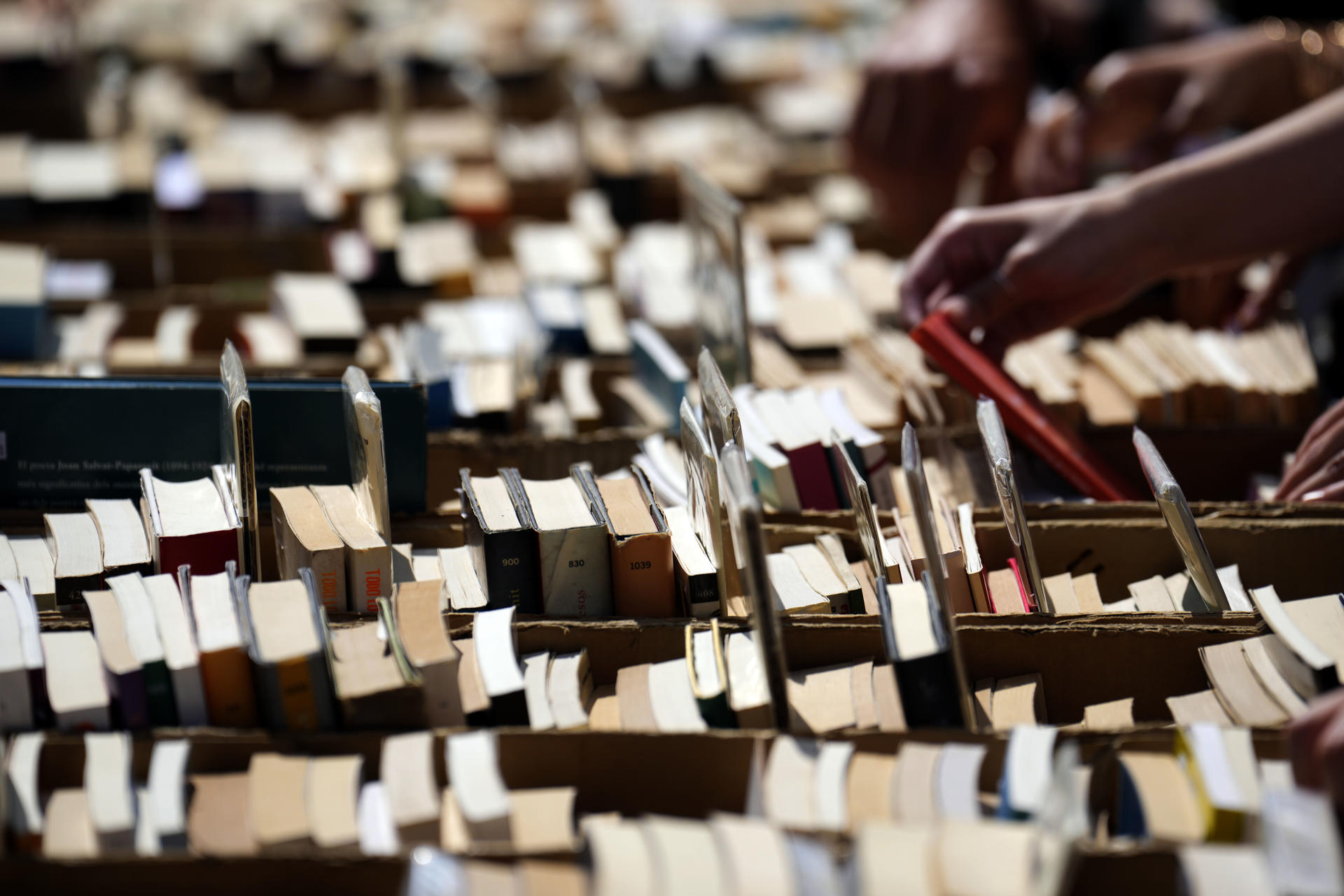Personas buscan libros en una parada en el Paseo de Gracia de Barcelona durante la diada de Sant Jordi. EFE/Alejandro García