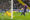 El delantero del FC Barcelona, Ferrán Torres (d), remata ante el guardameta suizo del Inter, Yan Sommer, en la jugada que ha significado el segundo gol del equipo blaugrana durante el encuentro correspondiente a la ida de las semifinales de la Liga de Campeones que disputan FC Barcelona e Inter en el estadio Olímpico Lluis Company, en Barcelona. EFE / Siu Wu.
