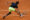 El tenista canadiense Gabriel Diallo devuelve una bola al búlgaro Grigor Dimitrov durante el partido de octavos de final del Mutua Madrid Open disputado en la Caja Mágica, en Madrid. EFE/Juanjo Martín