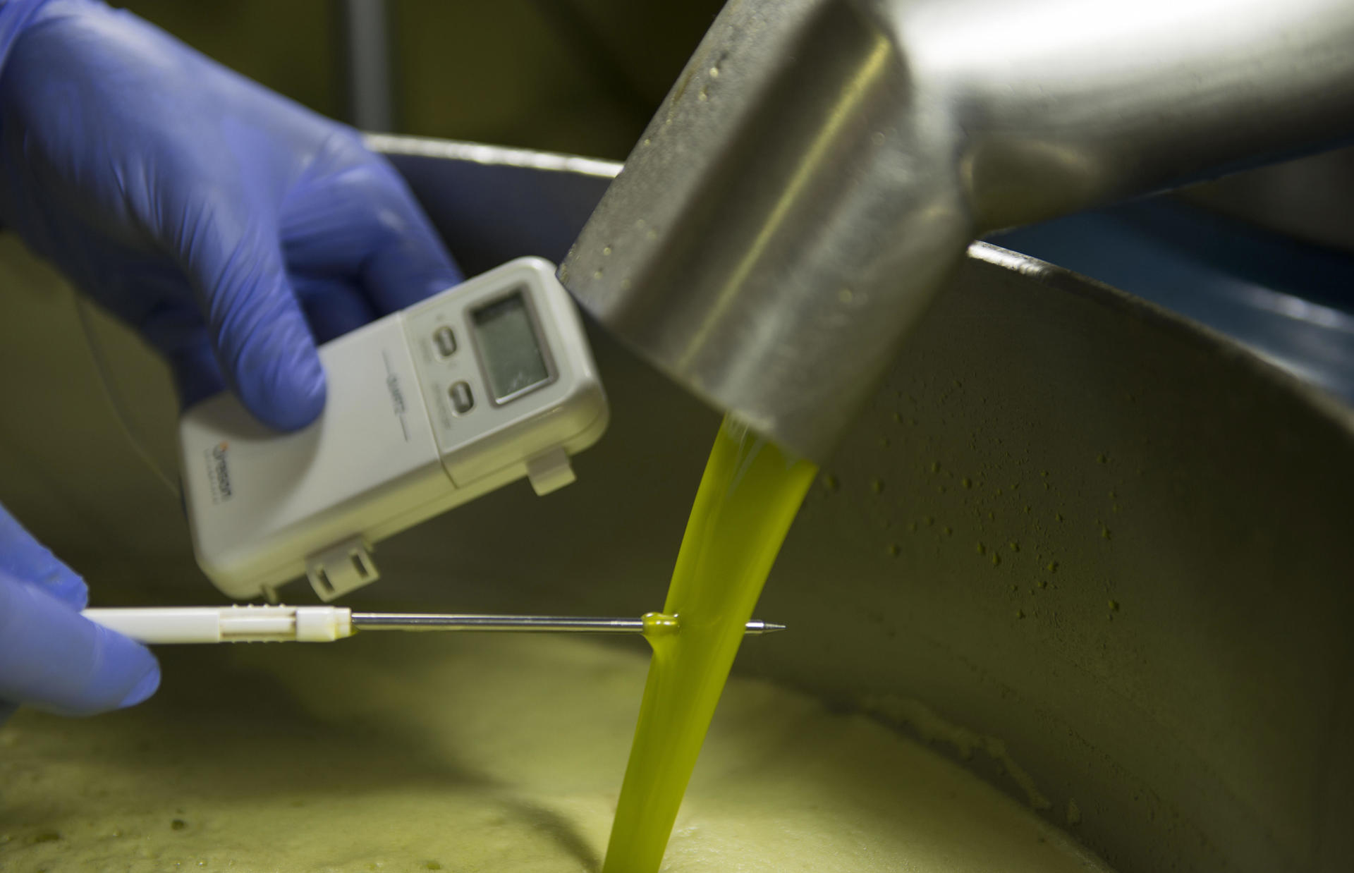Imagen de archivo de un trabajador tomando la temperatura durante el proceso de elaboración del aceite de oliva virgen extra, que no debe superar los 25 grados. EFE/José Manuel Pedrosa.